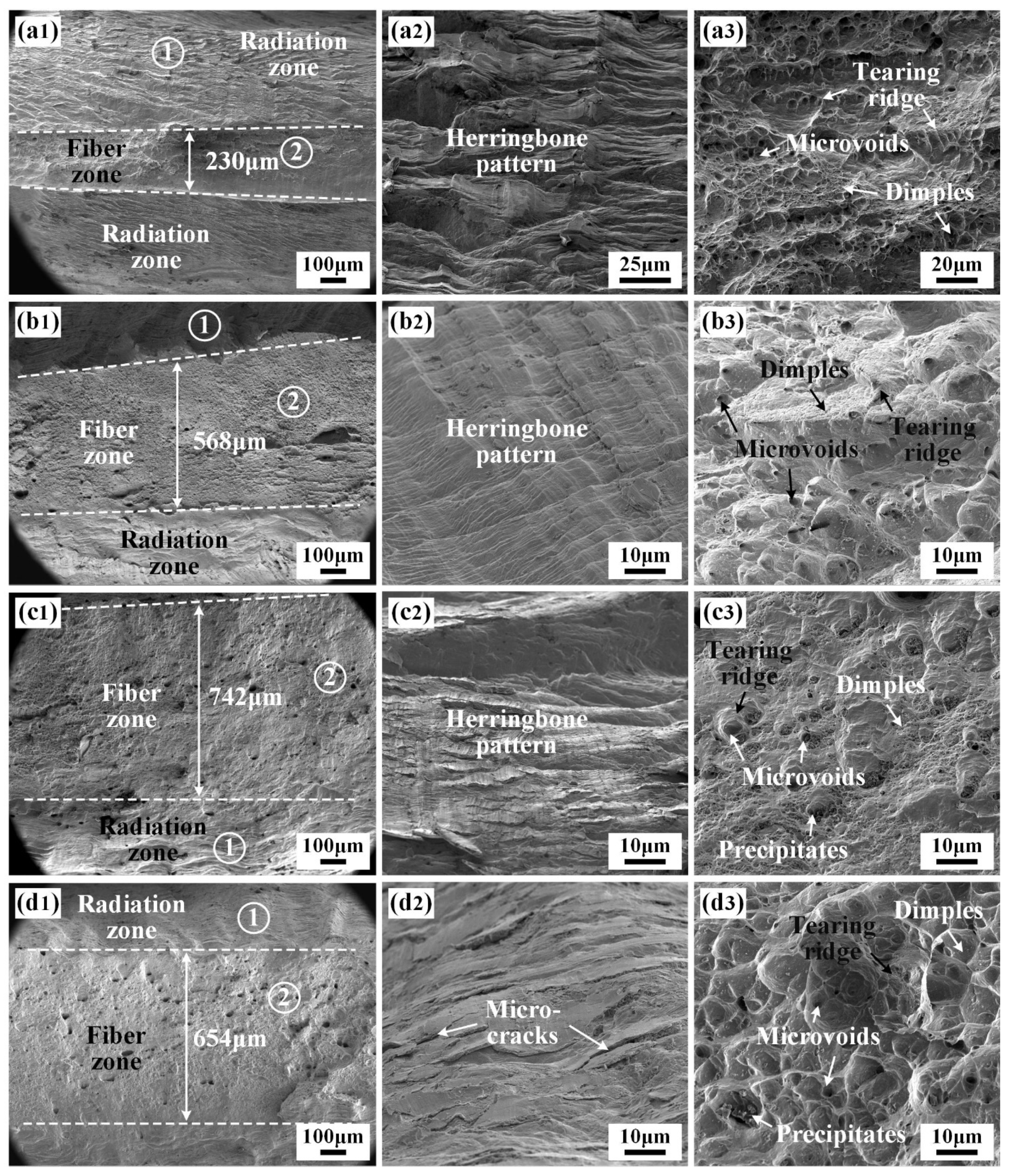 Materials 17 02857 g013