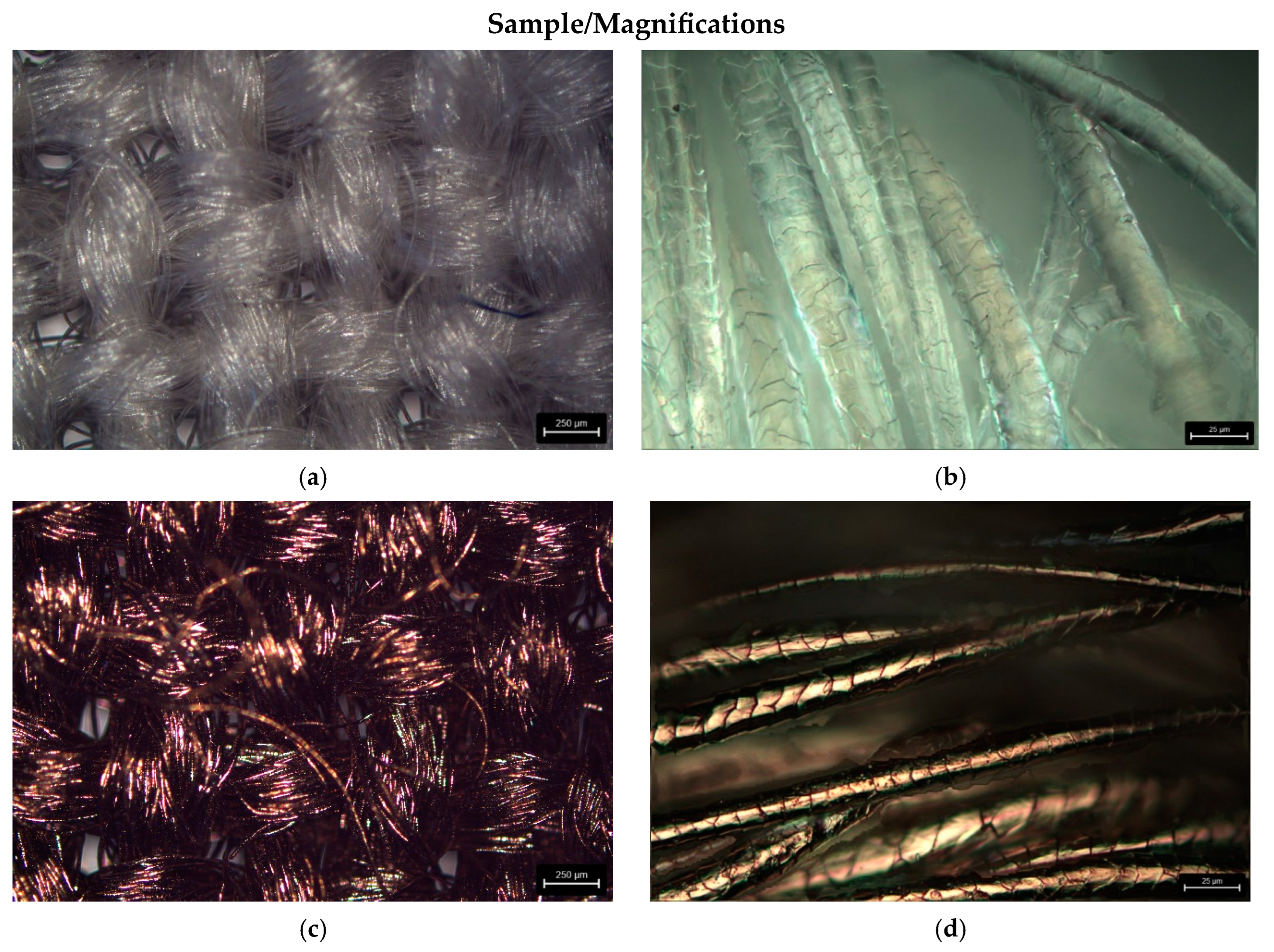 Materials 17 02878 g005