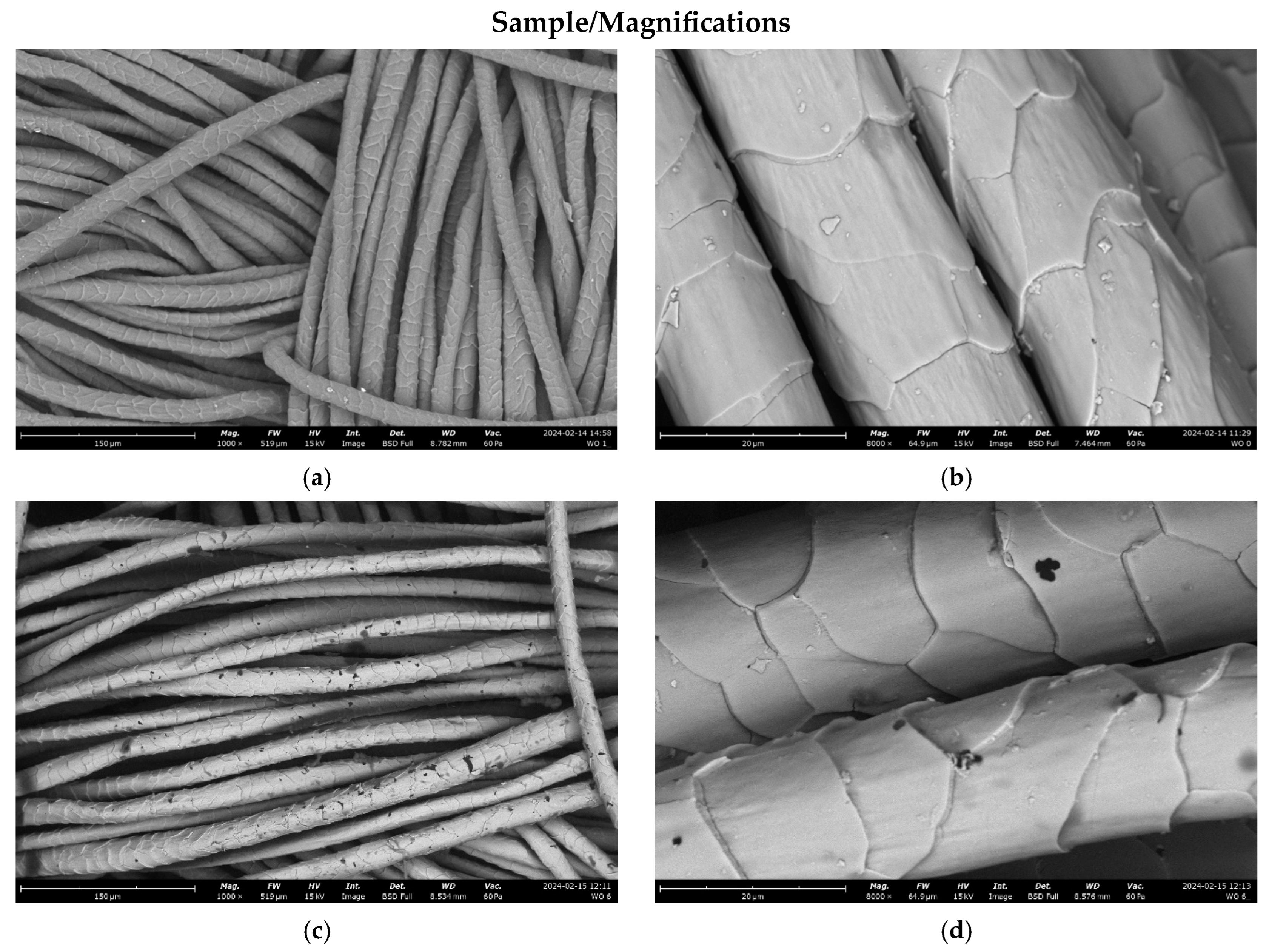 Materials 17 02878 g006