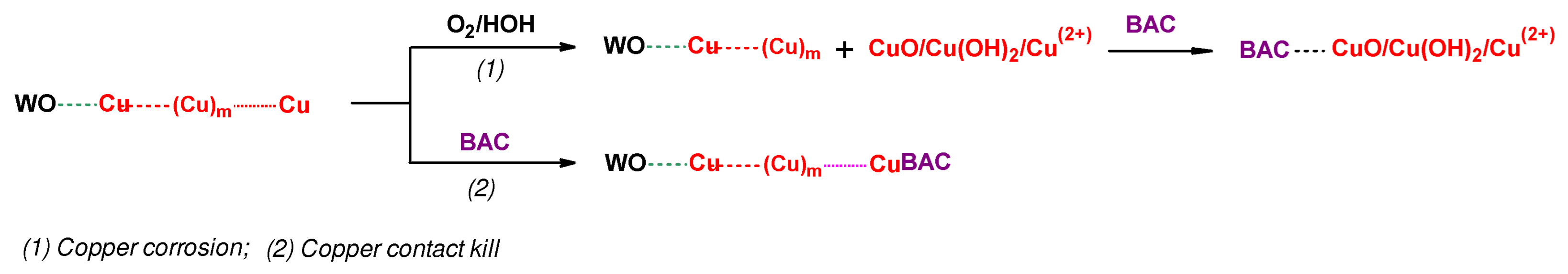 Materials 17 02878 g009
