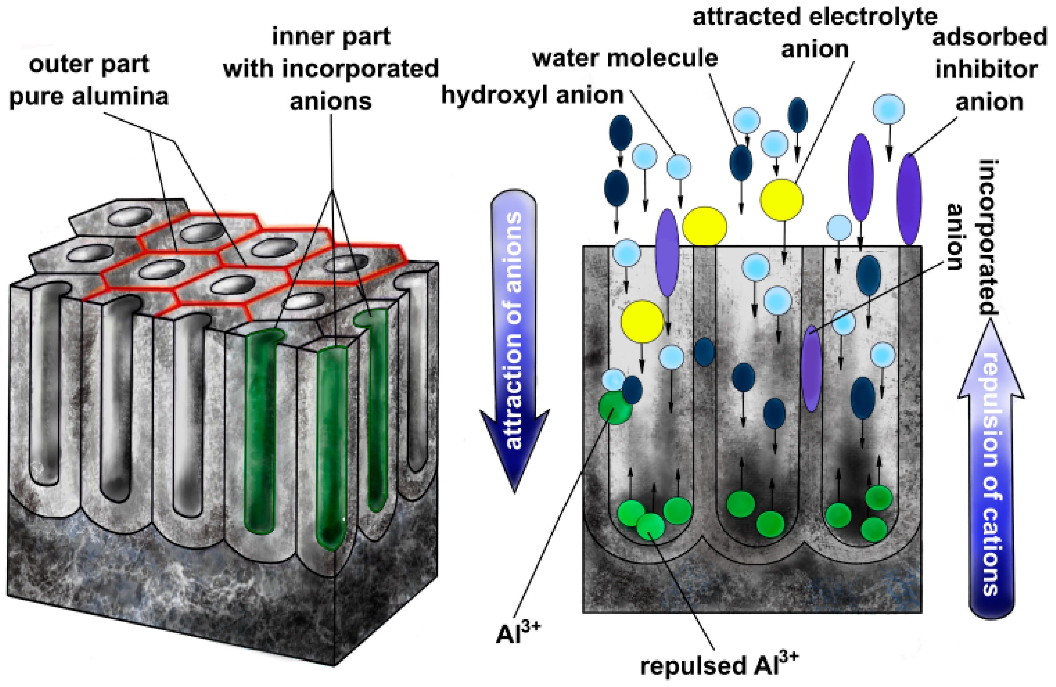 Materials 17 02938 g003