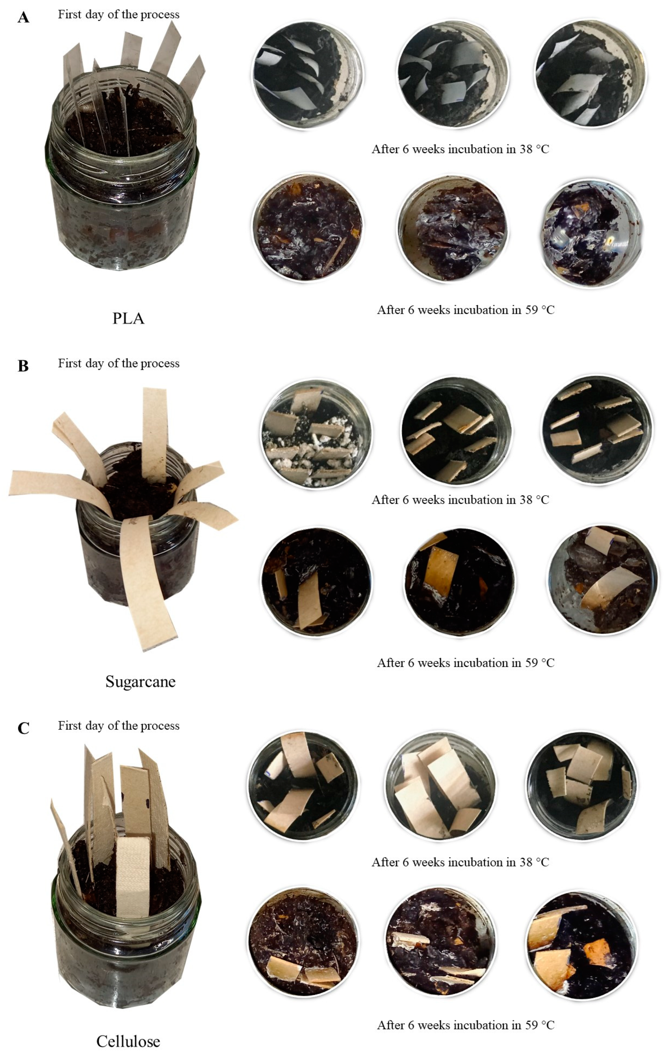 Materials 17 02948 g009