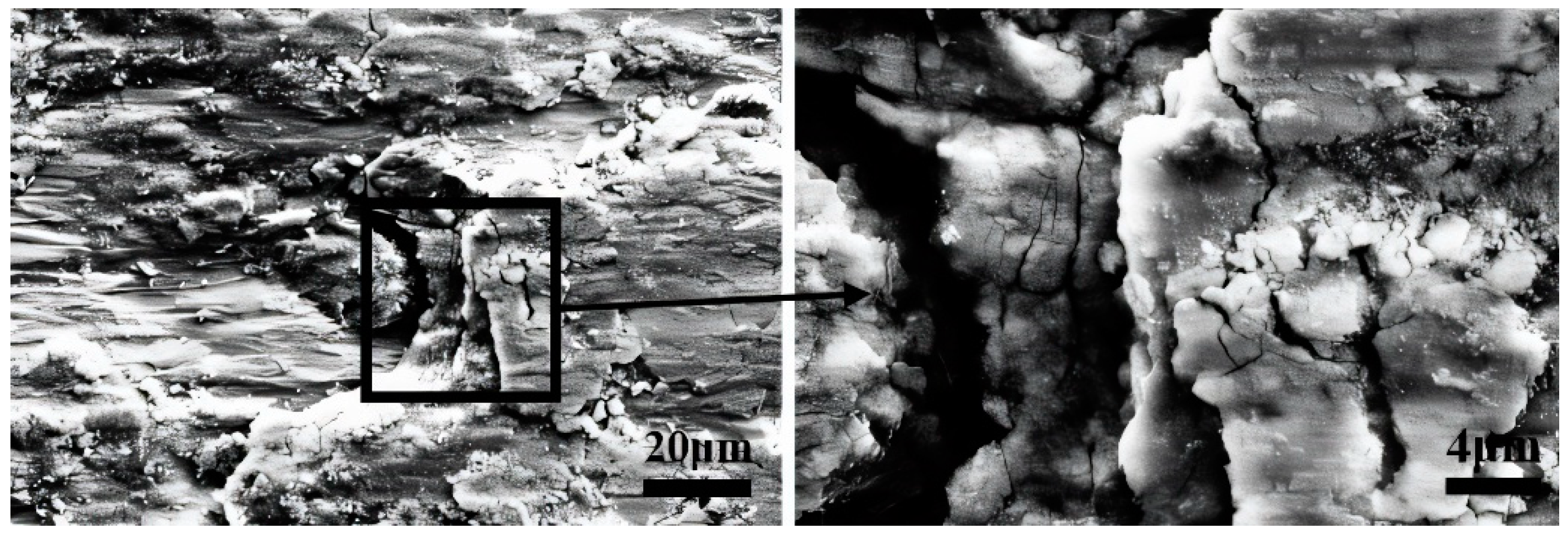 Materials 17 02950 g010