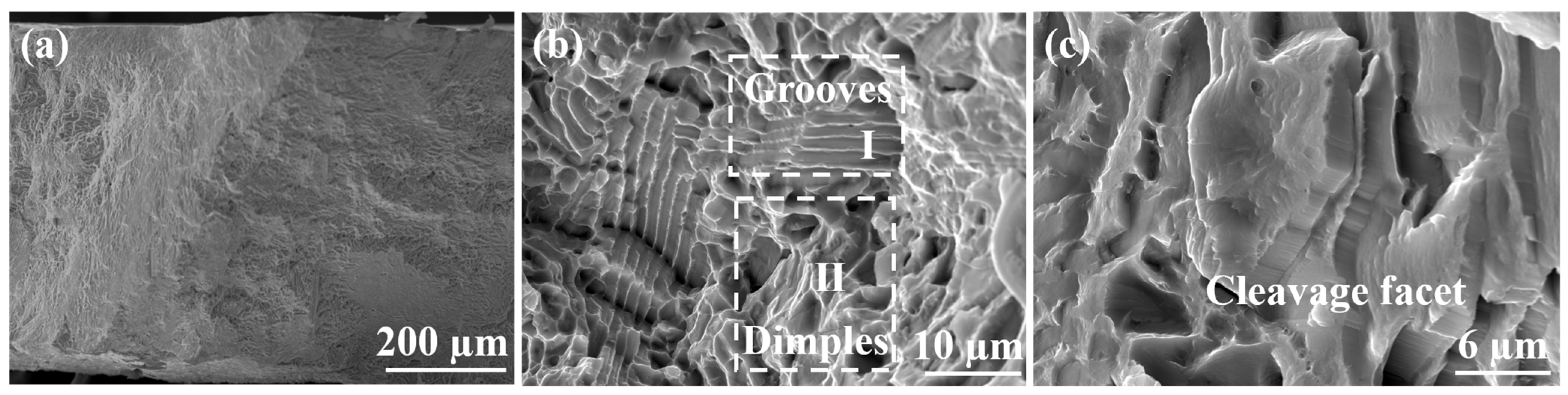 Materials 17 02954 g007