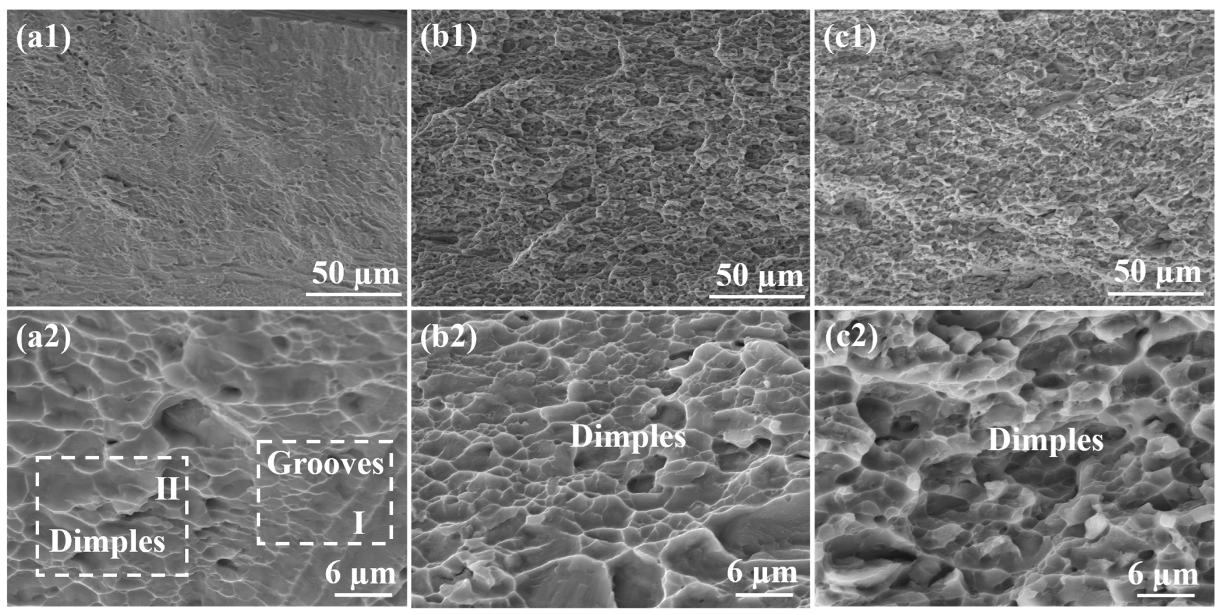 Materials 17 02954 g008