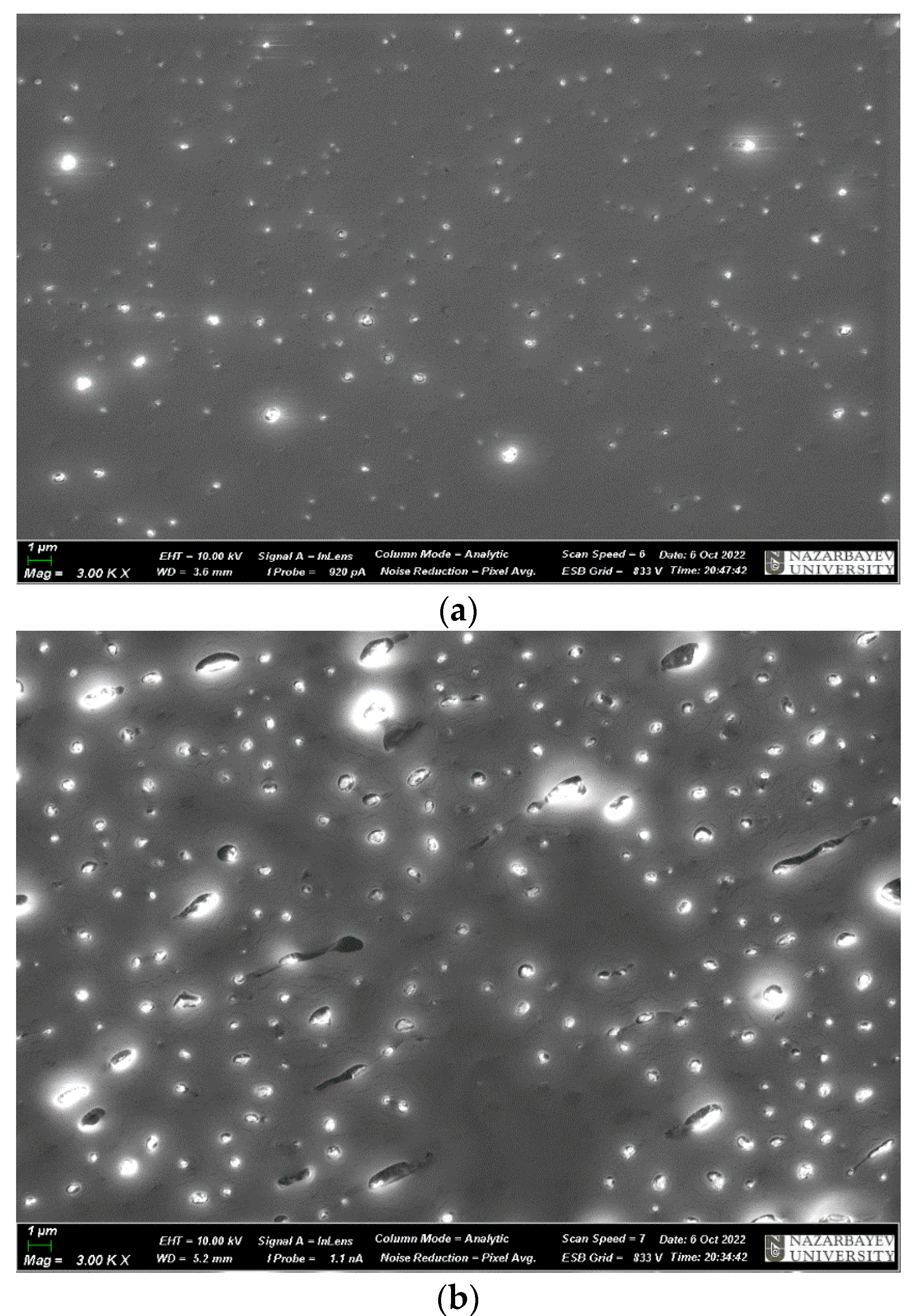 Materials 17 02959 g010a