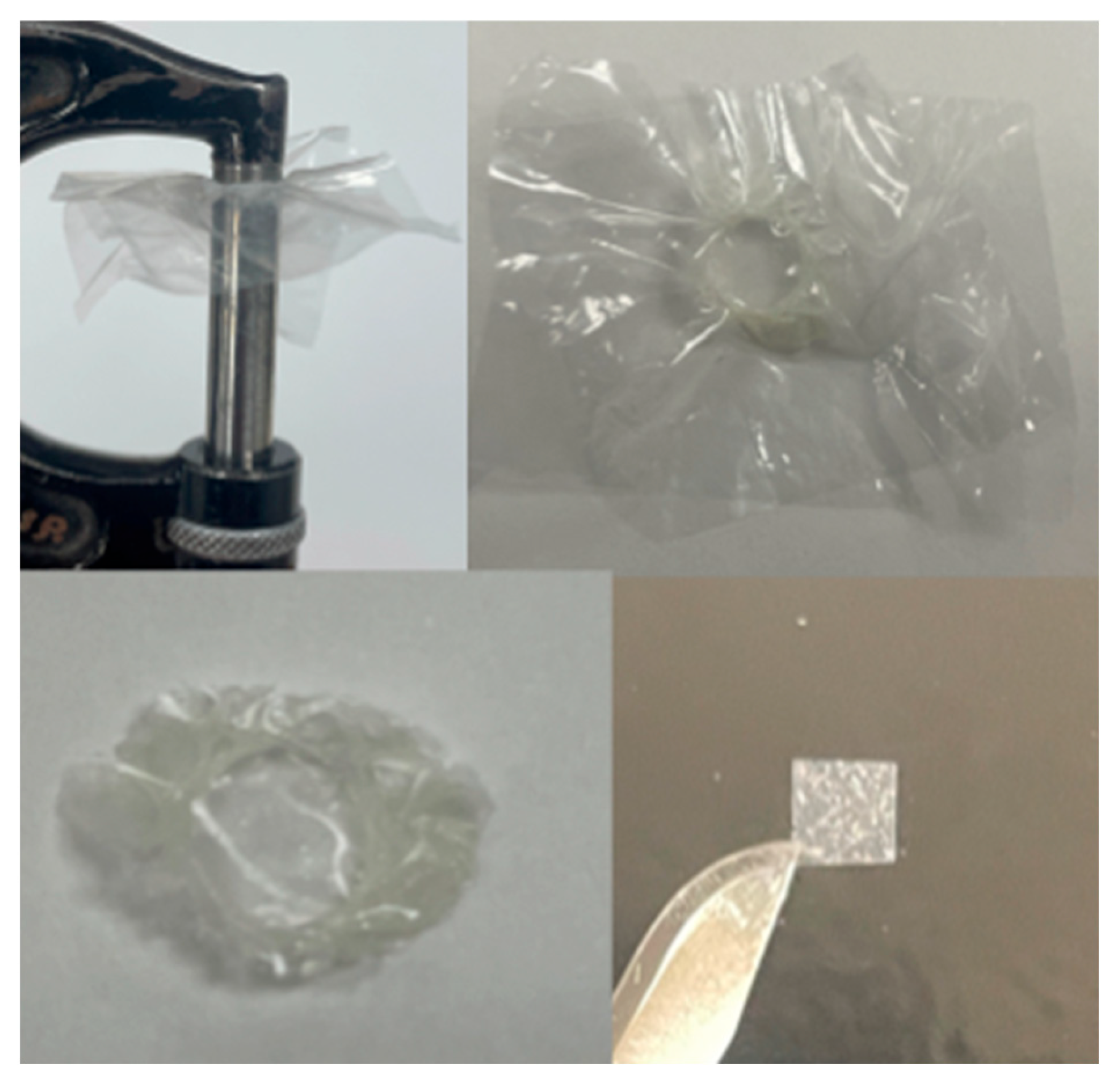 Materials 17 02961 g002