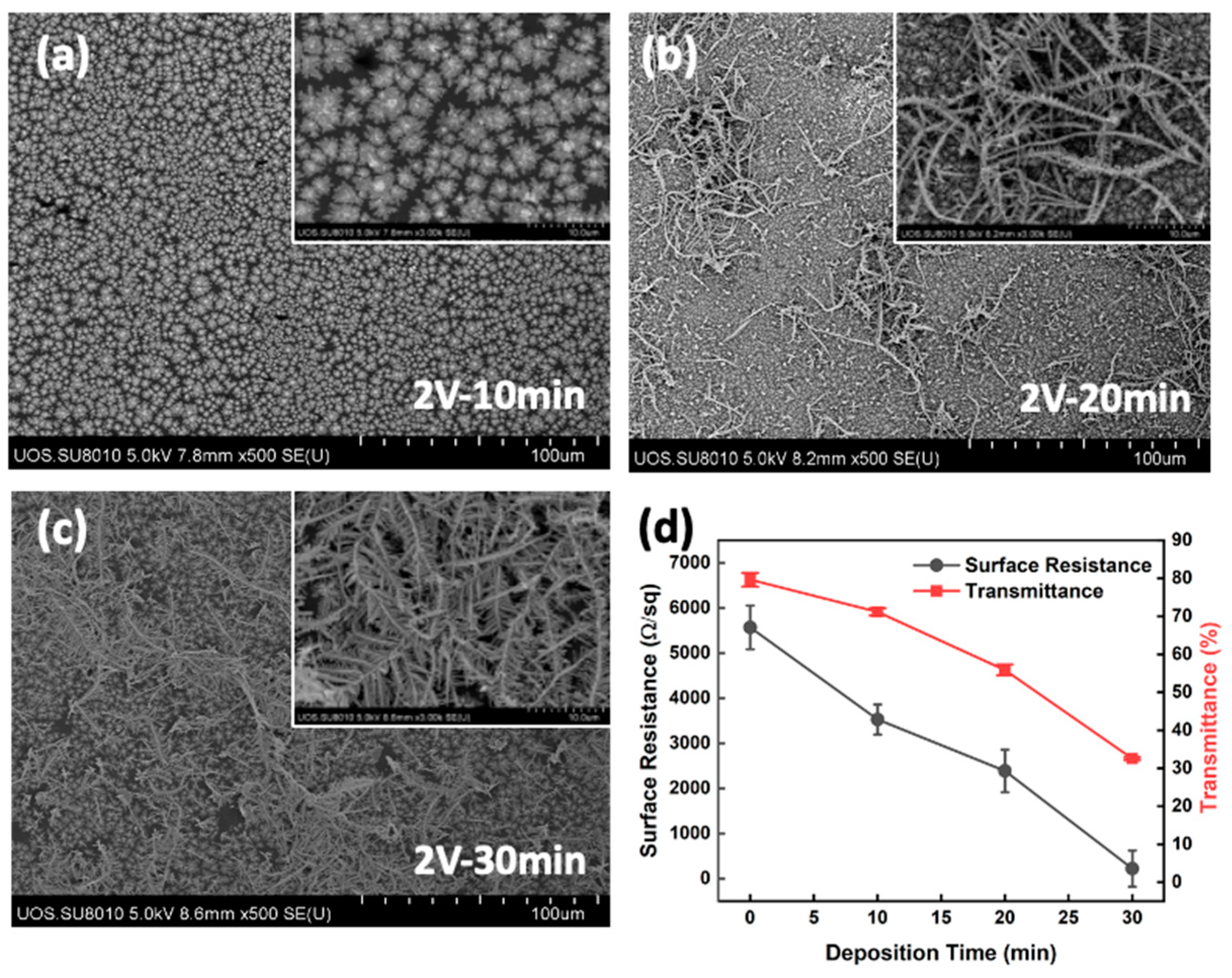 Materials 17 02988 g007