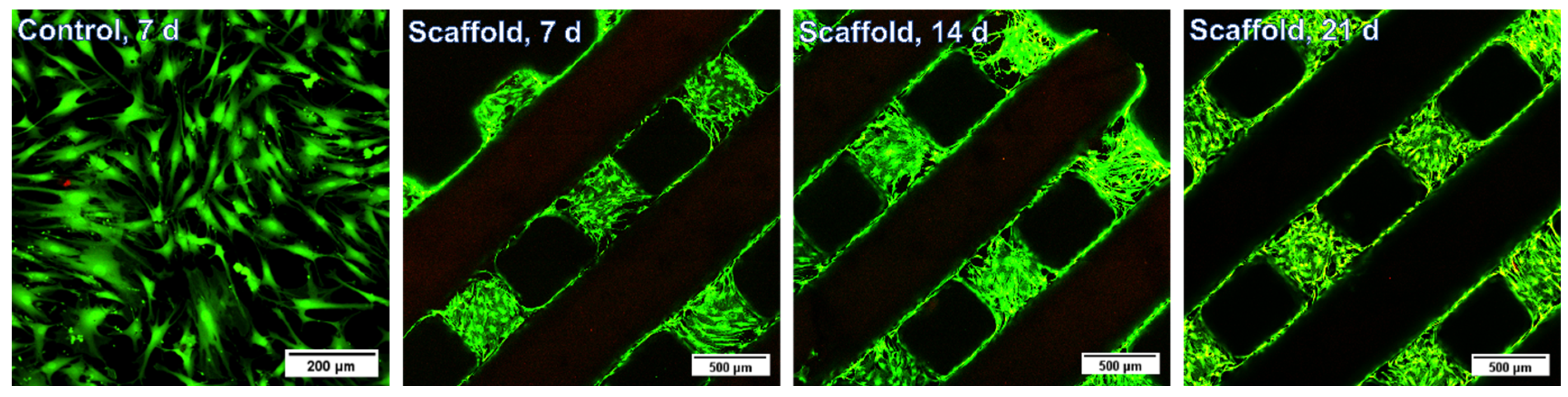 Materials 17 02996 g006