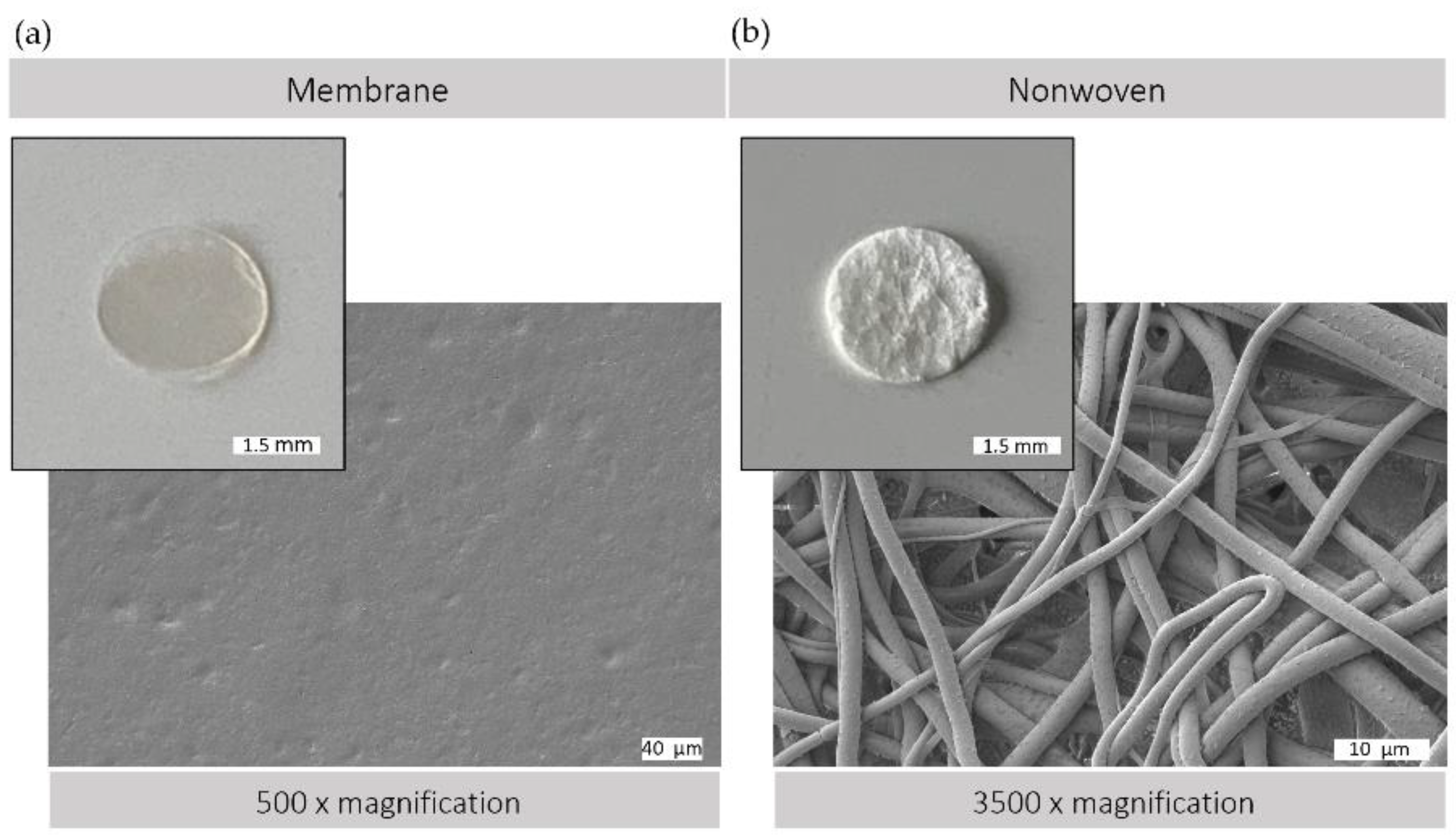 Materials 17 03004 g002