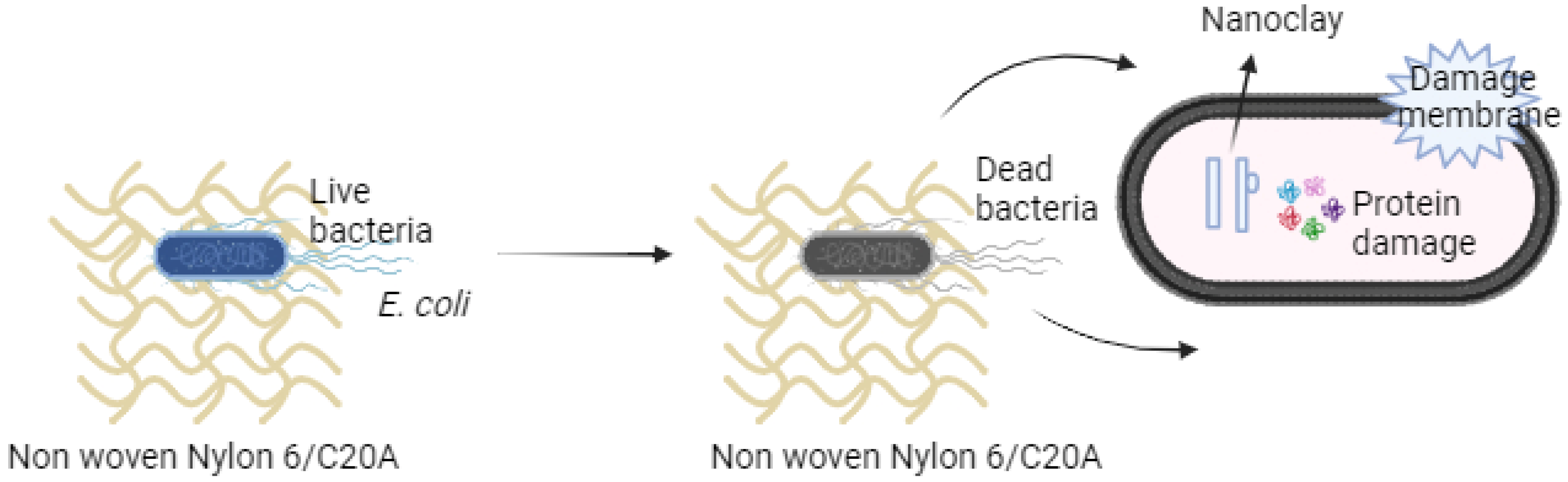 Materials 17 03007 g010