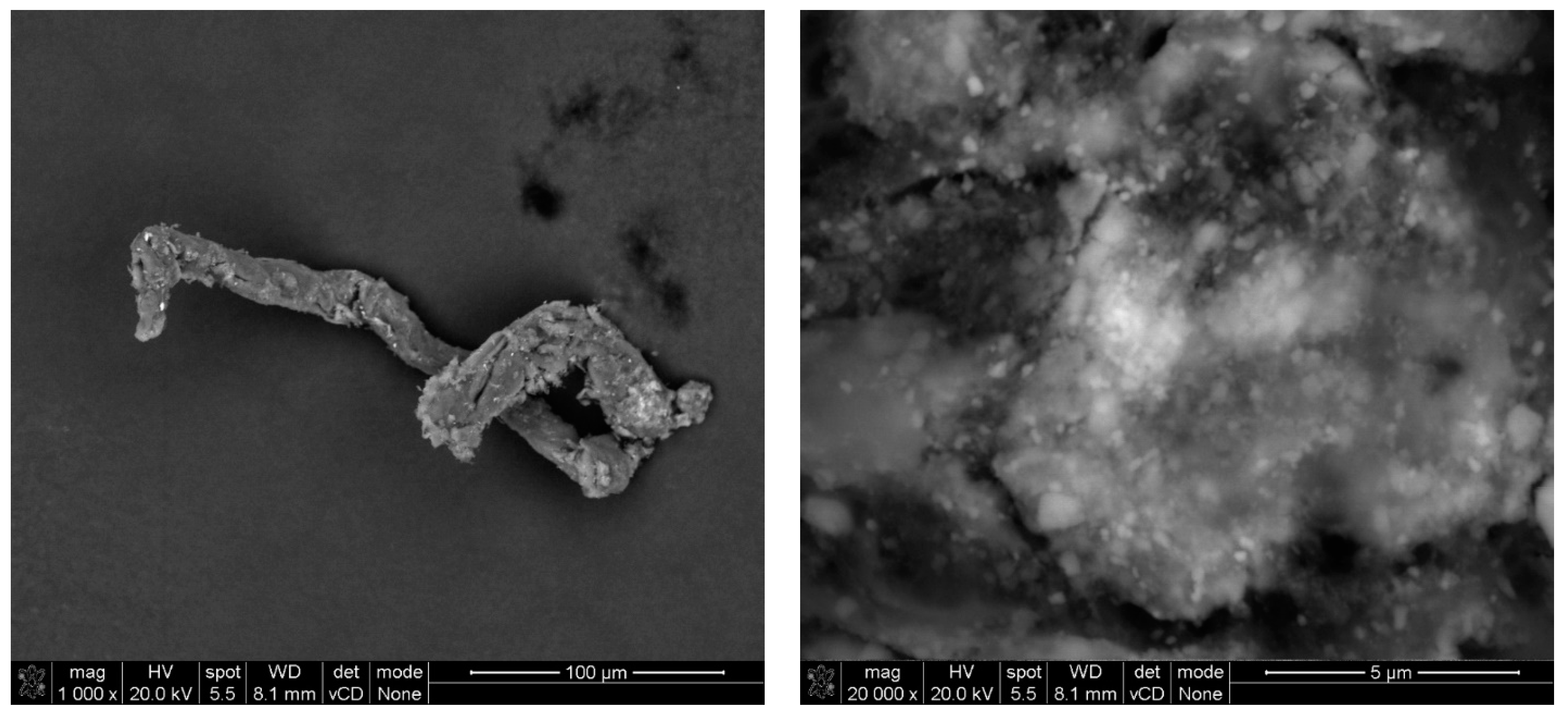 Materials 17 03022 g010