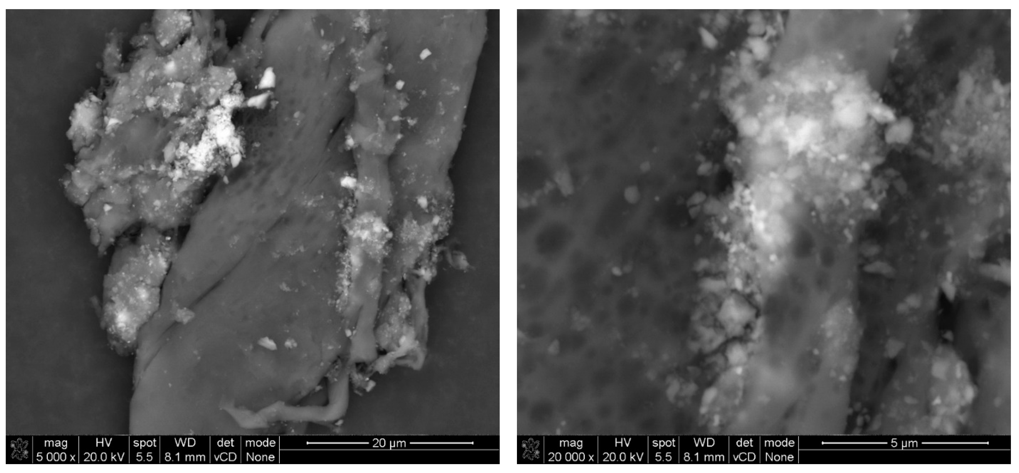 Materials 17 03022 g012