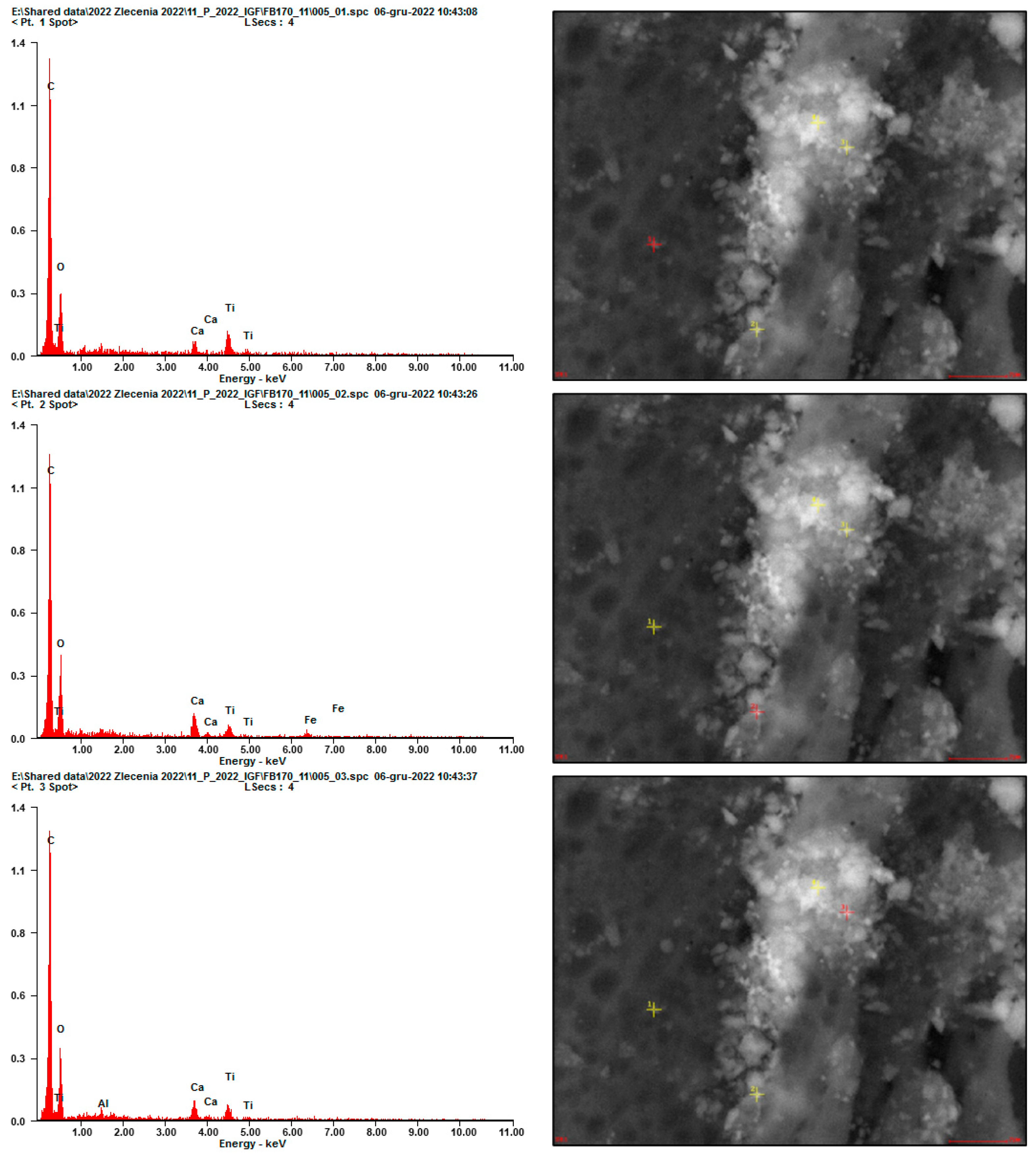 Materials 17 03022 g013