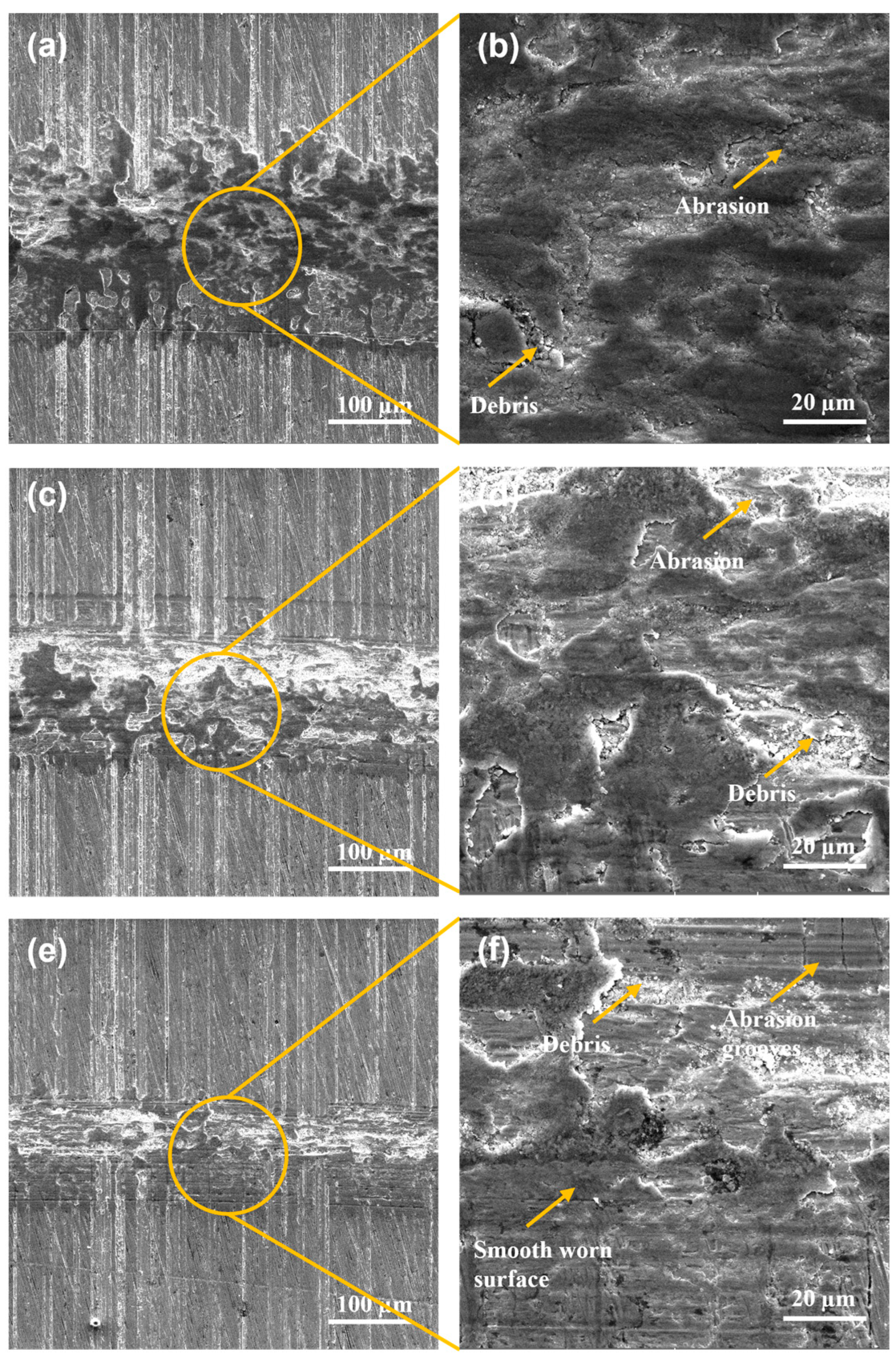 Materials 17 03057 g007