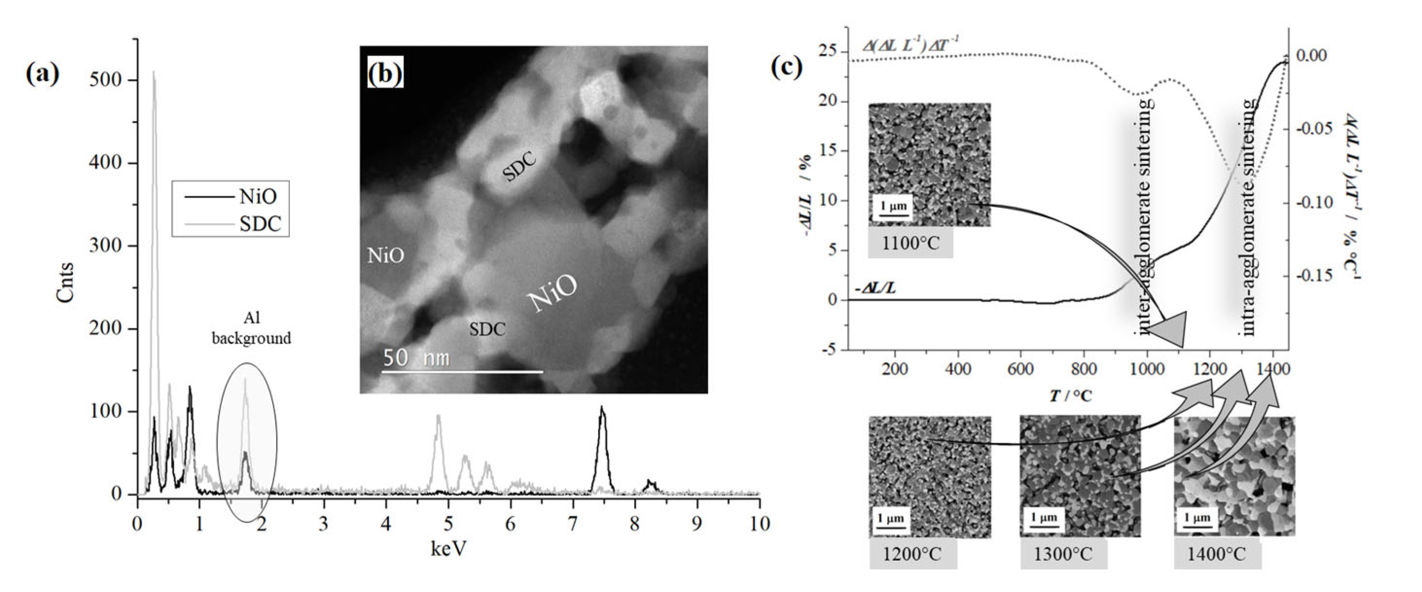 Materials 17 03068 g004