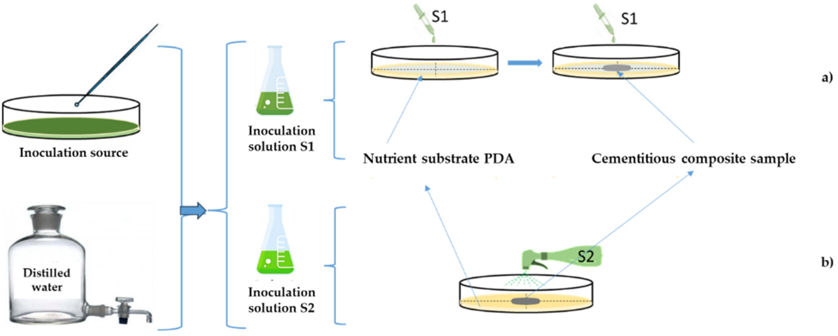 Materials 17 03098 g005