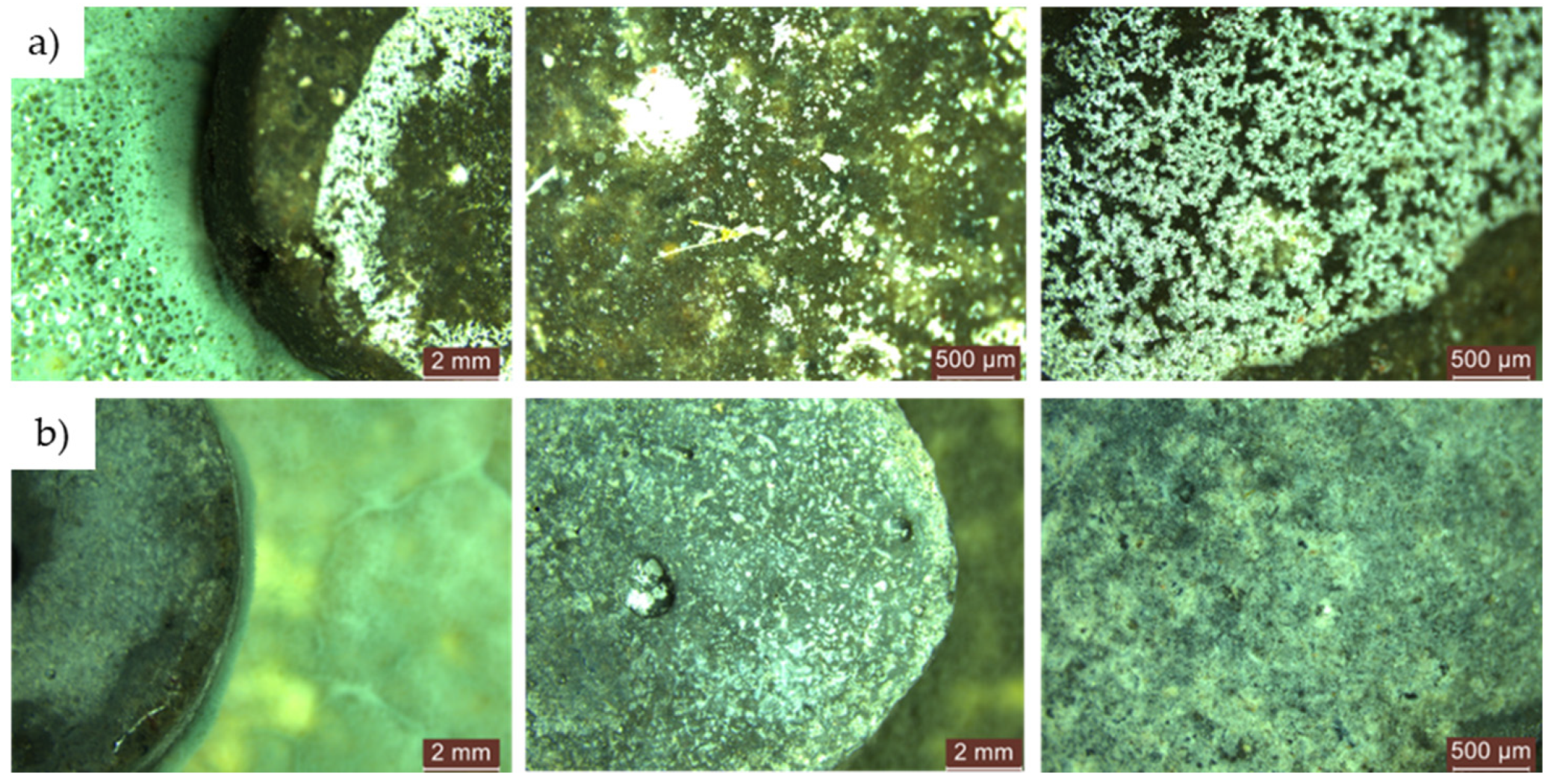 Materials 17 03098 g016