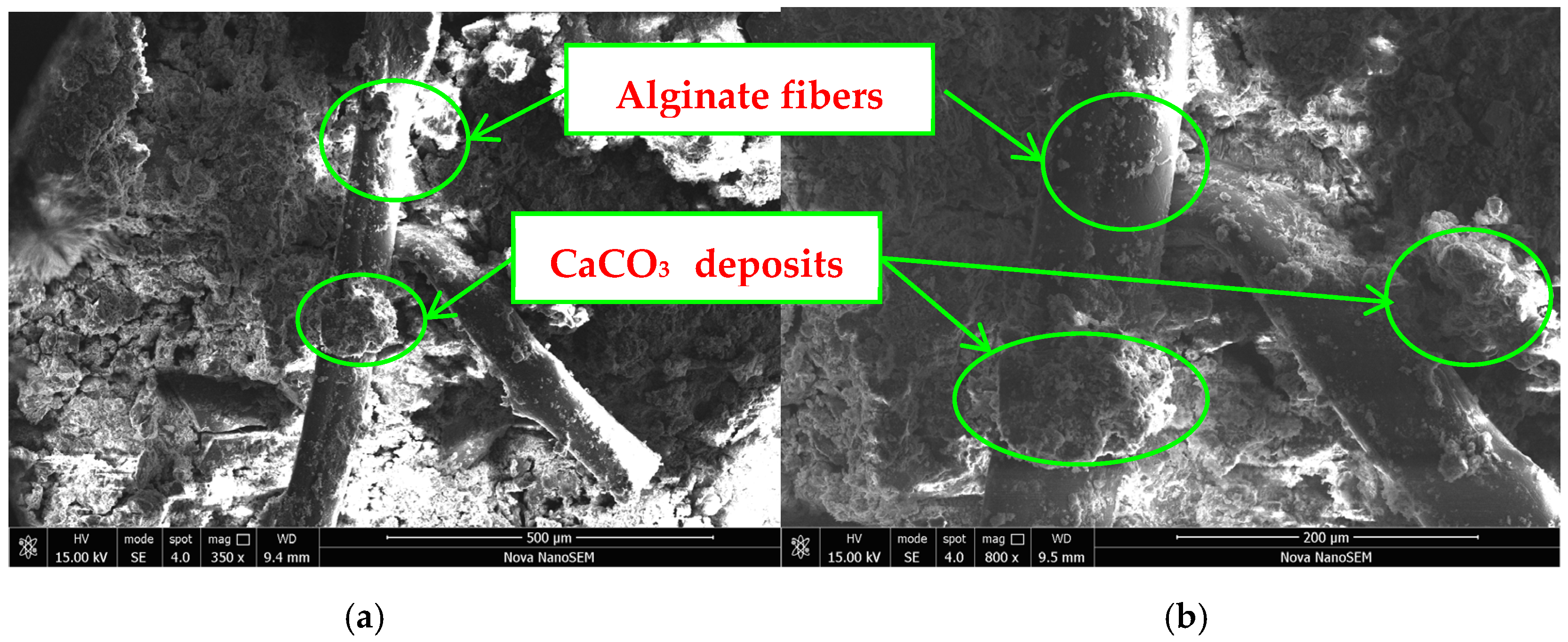 Materials 17 03124 g014