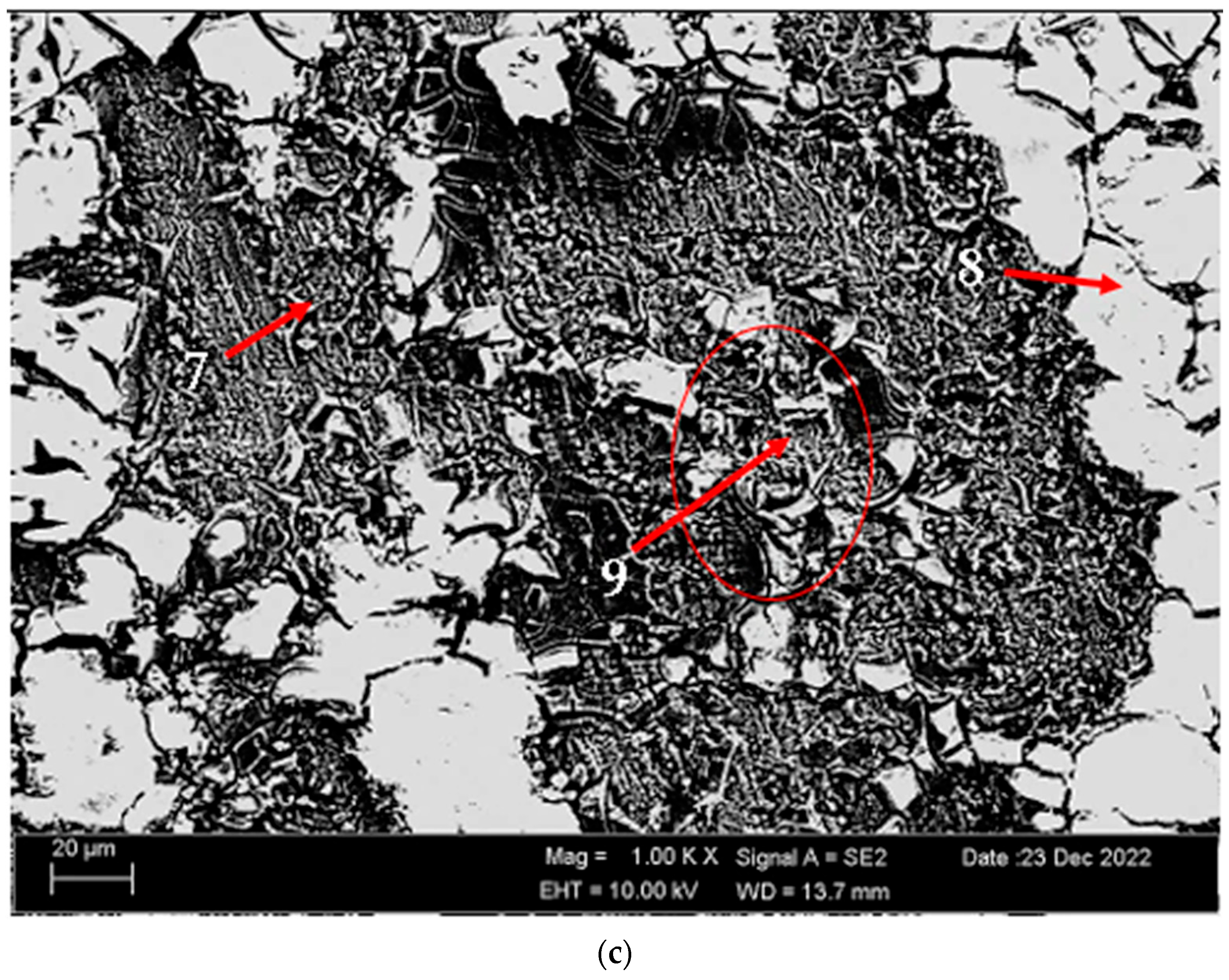 Materials 17 03164 g014b