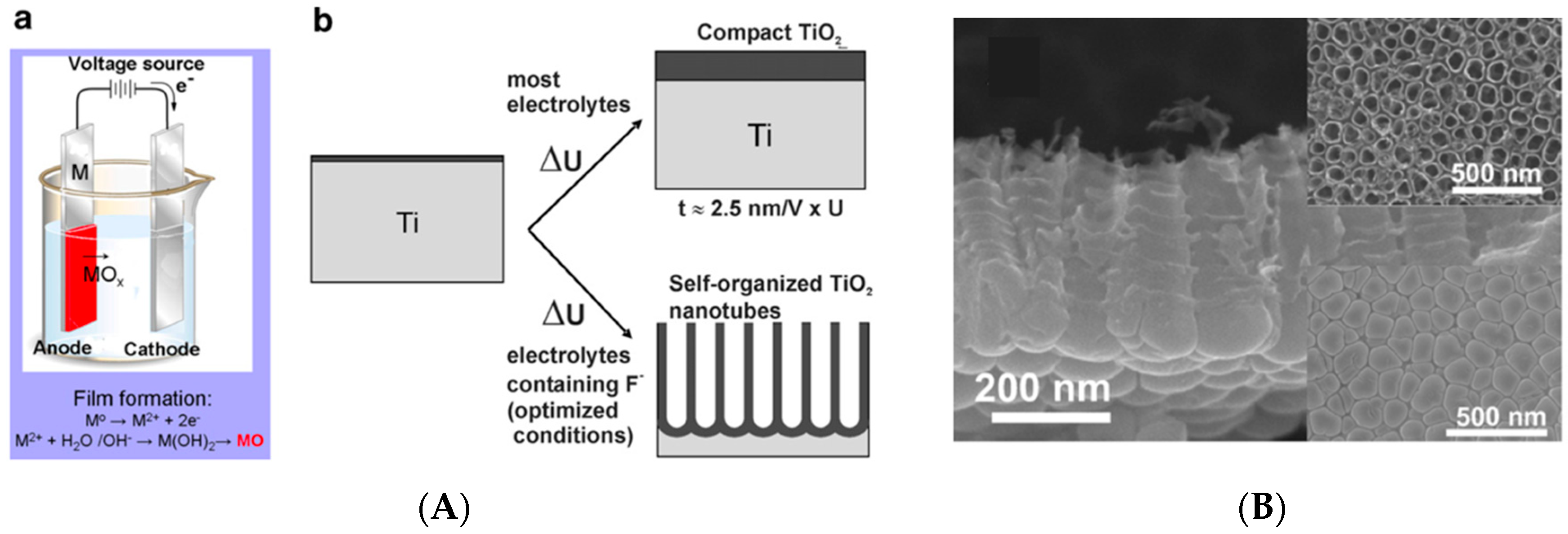 Materials 17 03191 g001