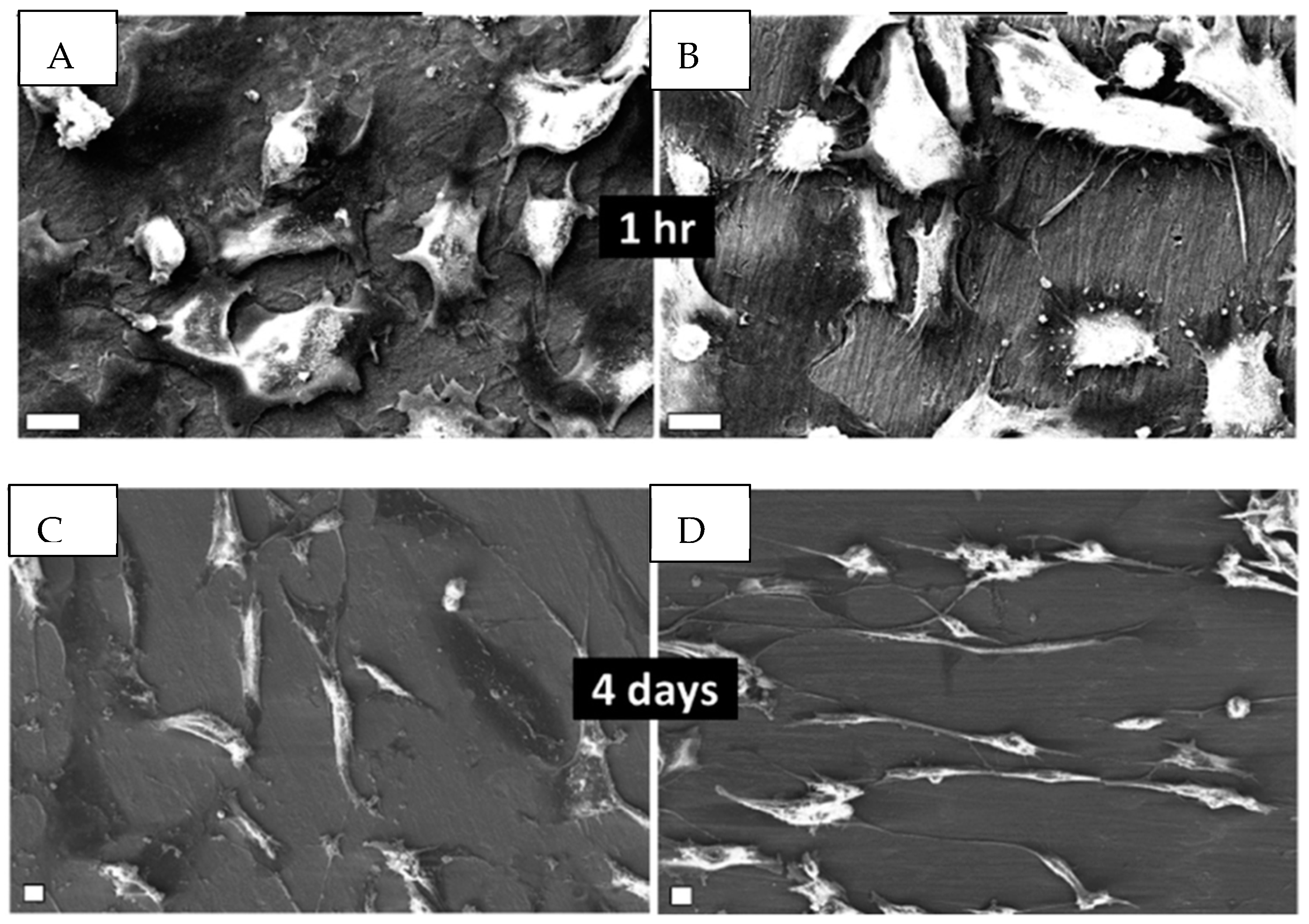 Materials 17 03191 g003