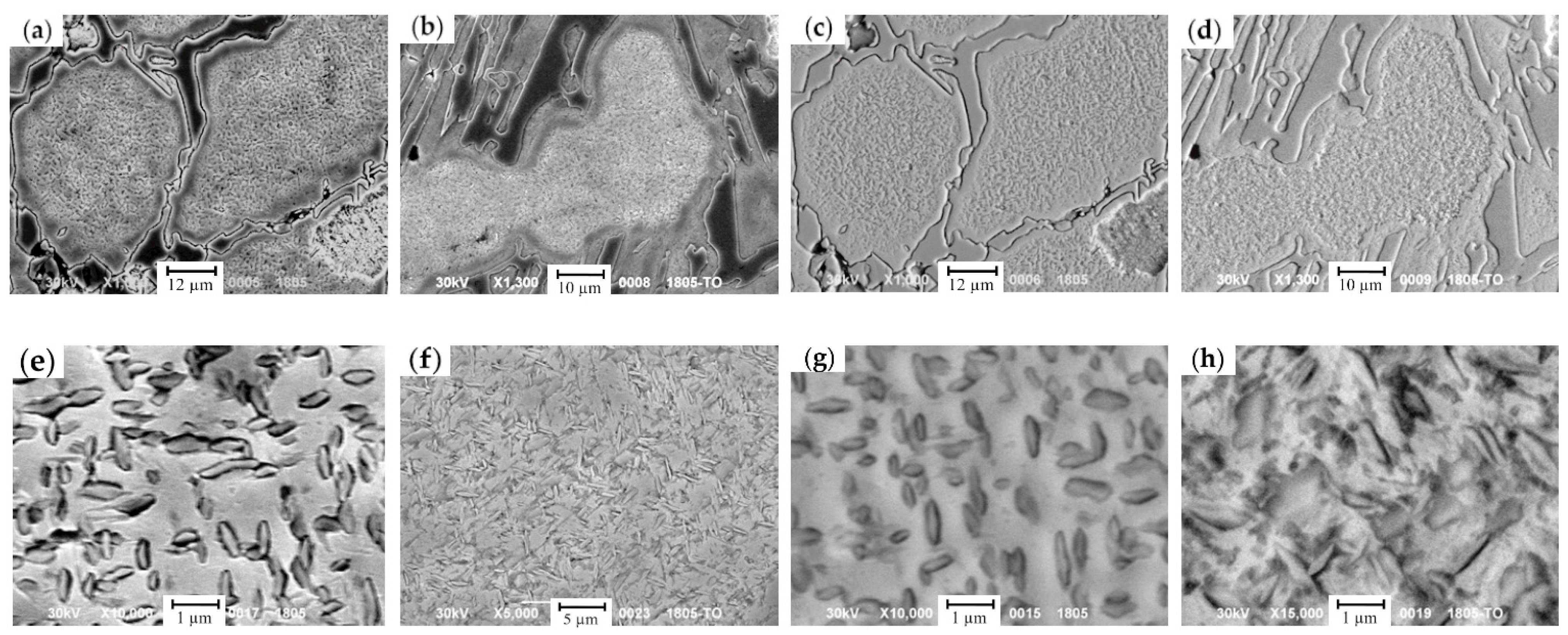 Materials 17 03231 g014 Materials 17 03231 g014