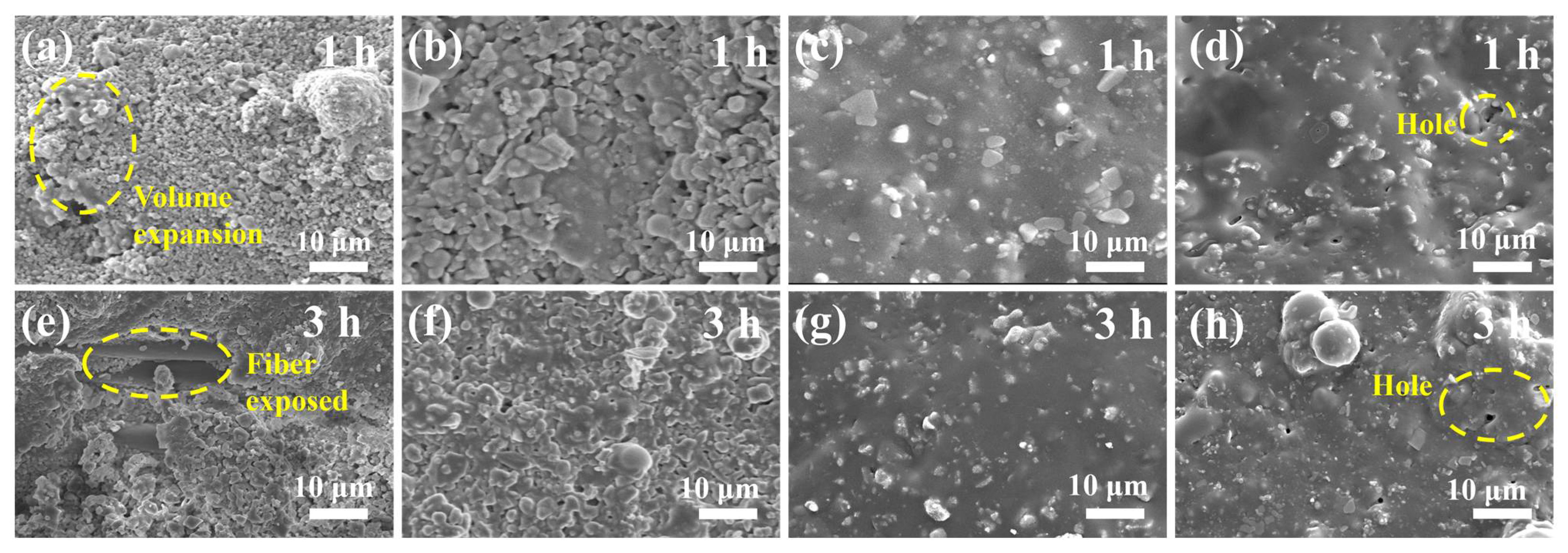 Materials 17 03234 g004