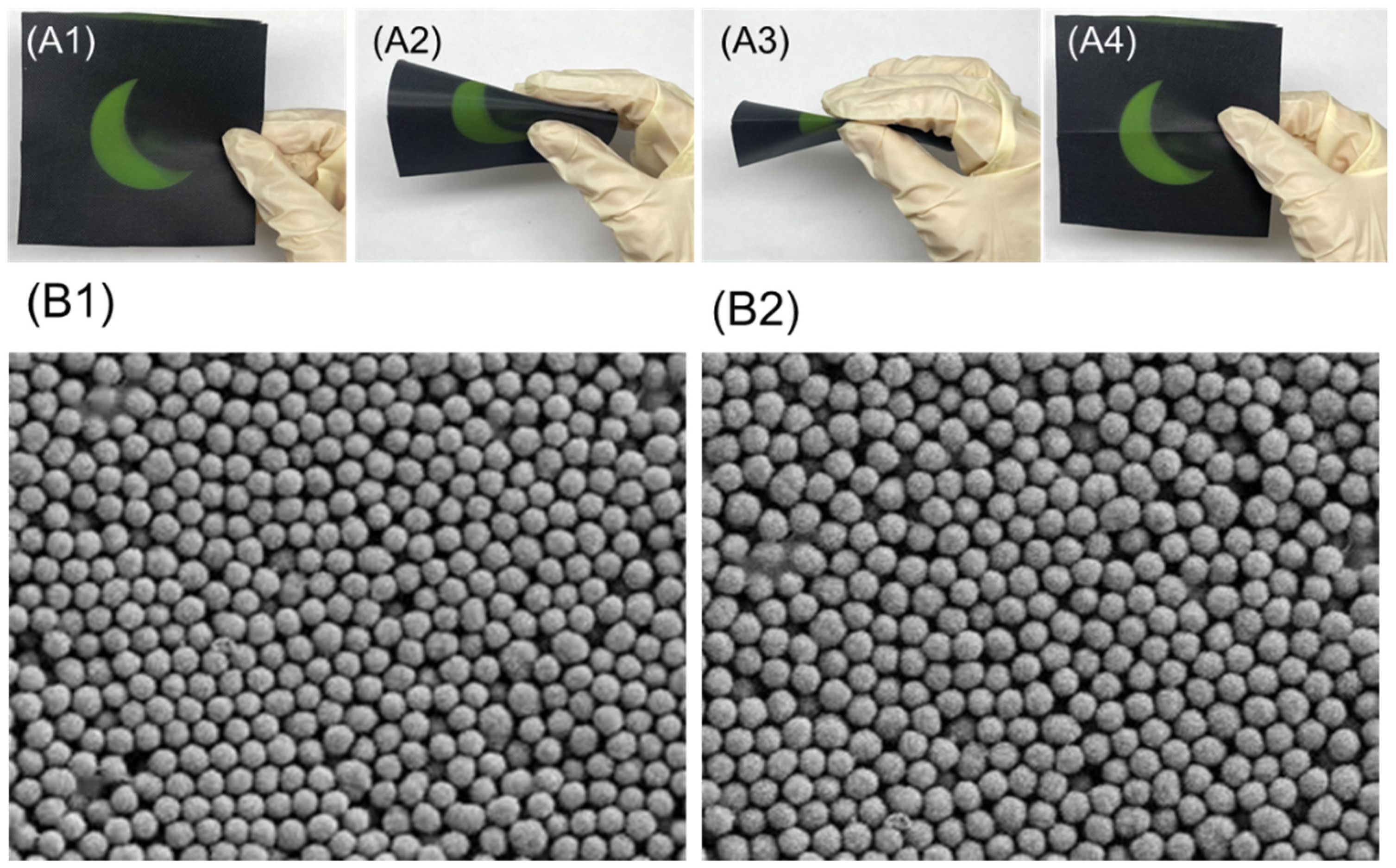 Materials 17 03238 g011