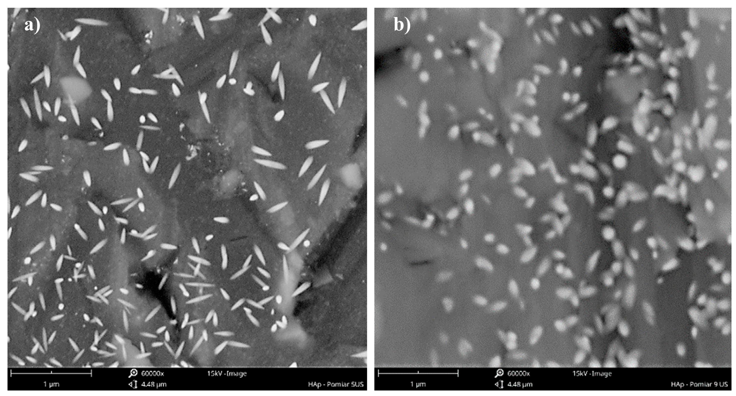 Materials 17 03240 g007