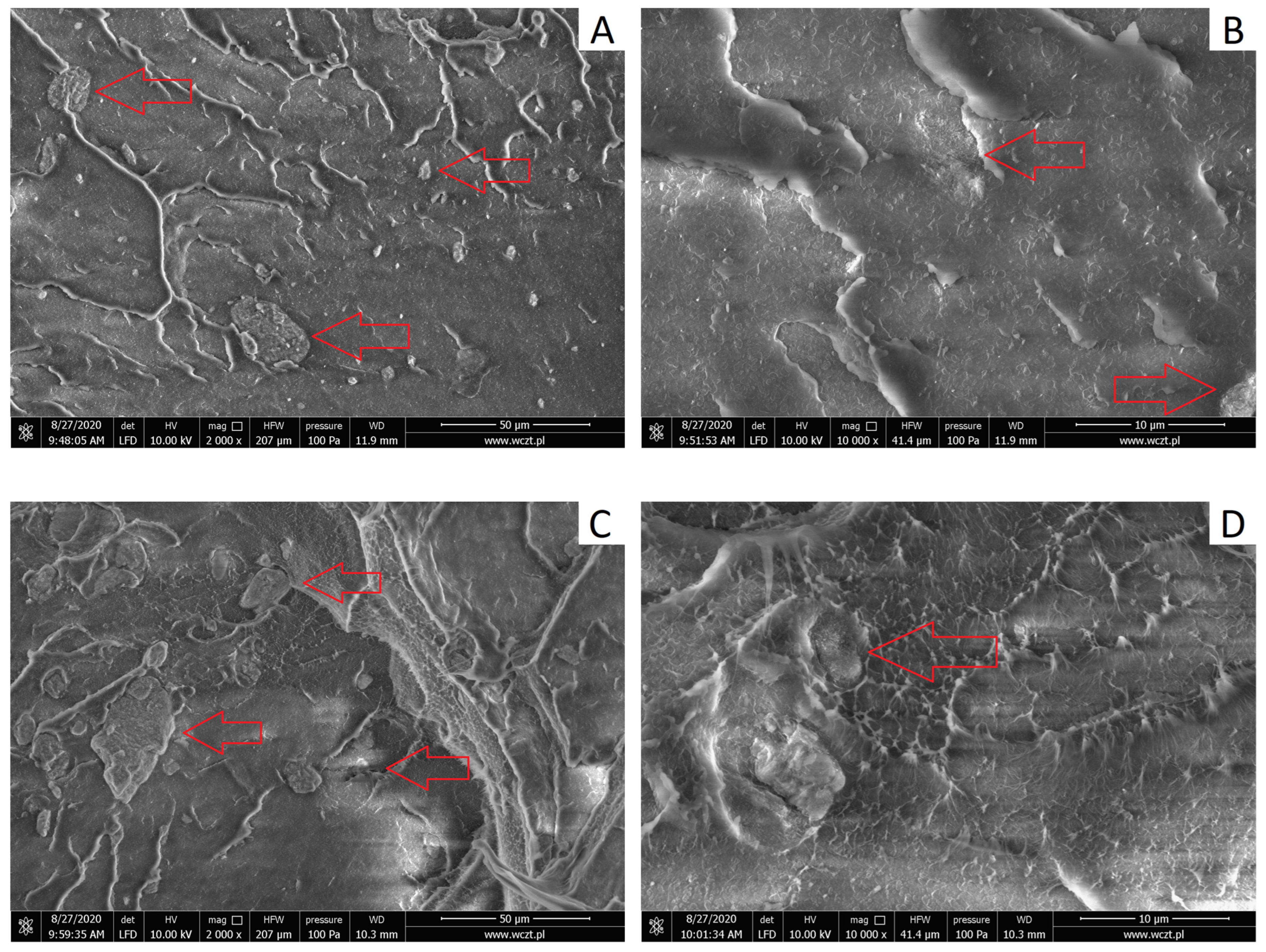 Materials 17 03260 g006a Materials 17 03260 g006a