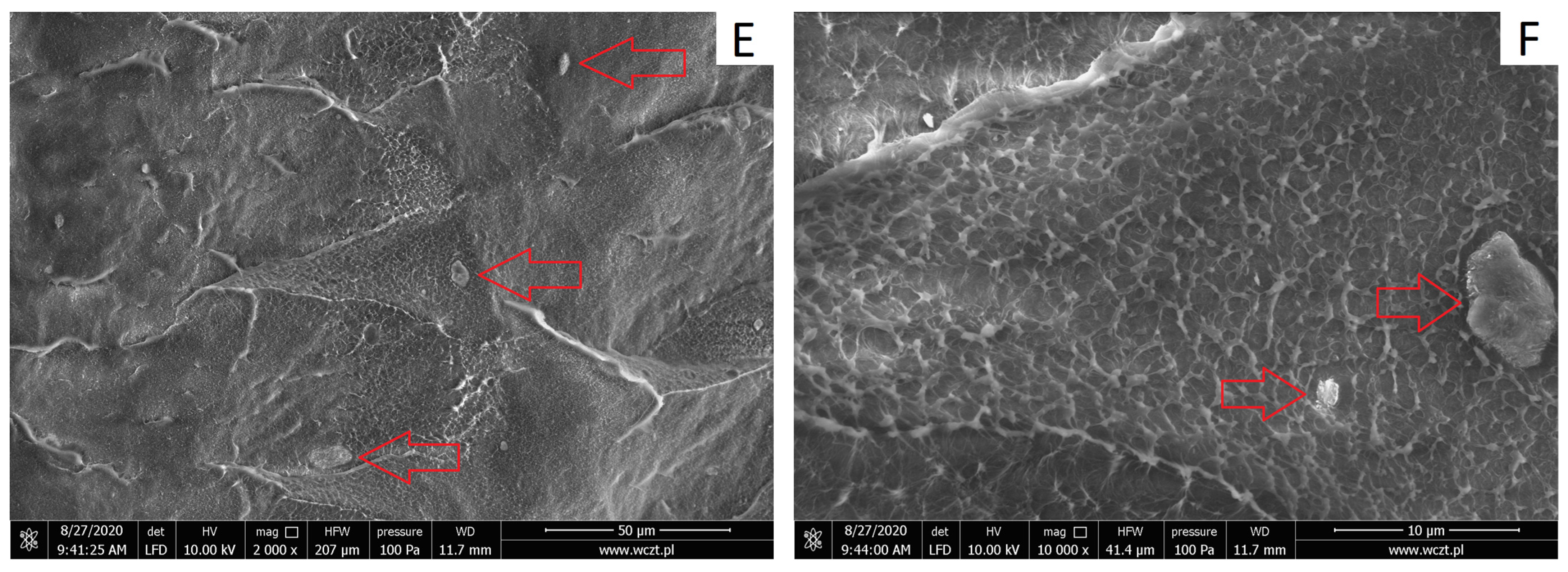 Materials 17 03260 g006b Materials 17 03260 g006b