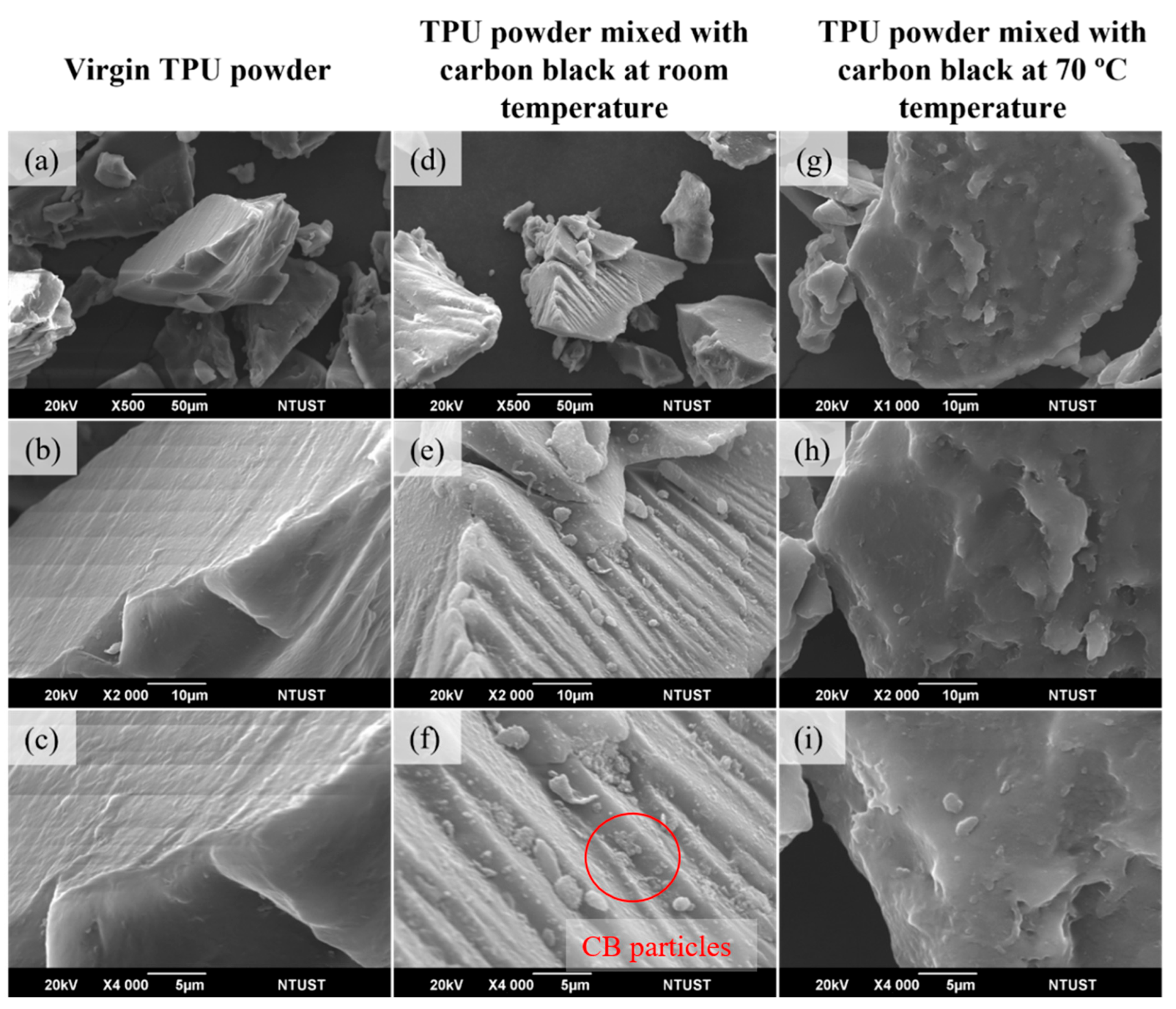 Materials 17 03363 g010