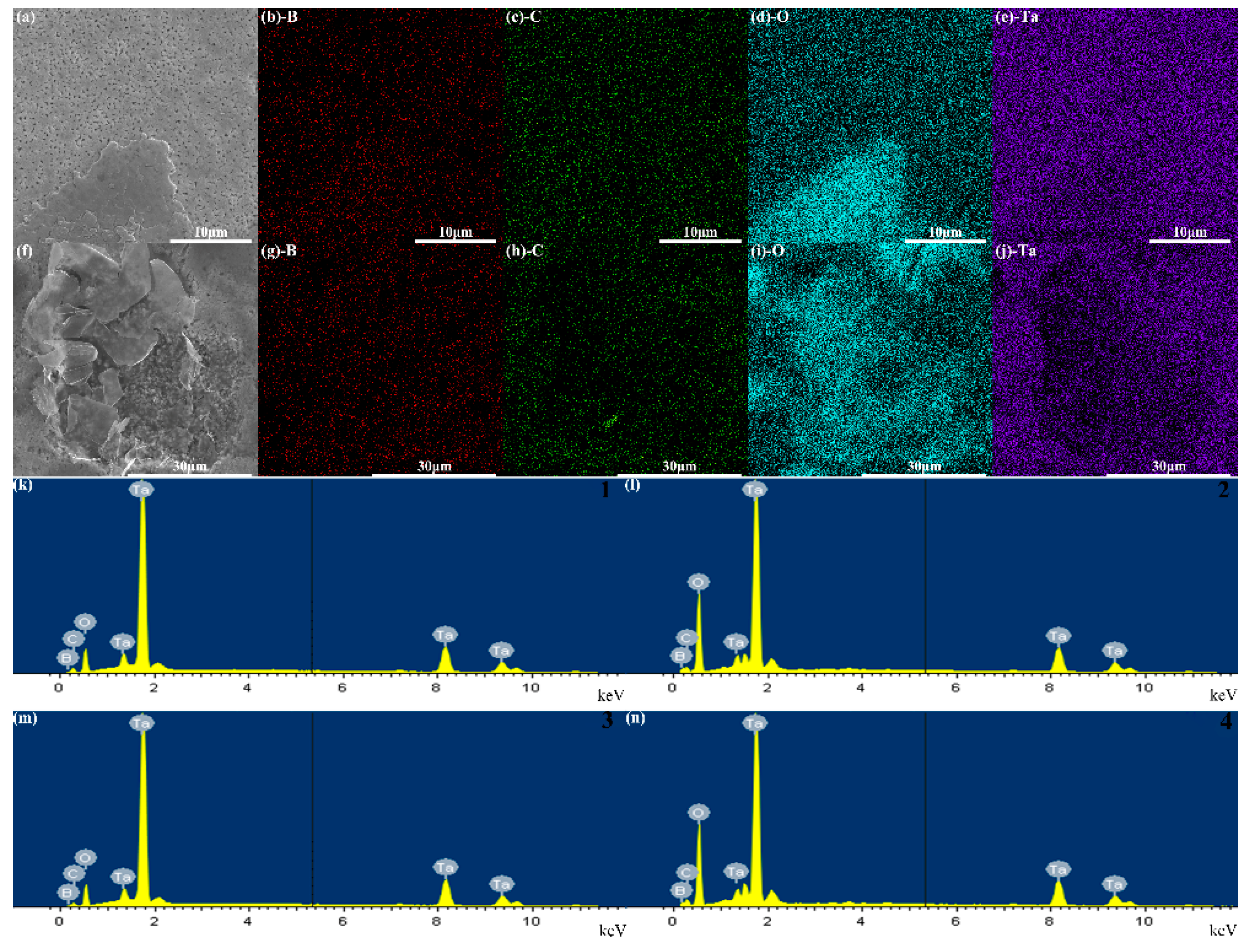 Materials 17 03394 g008