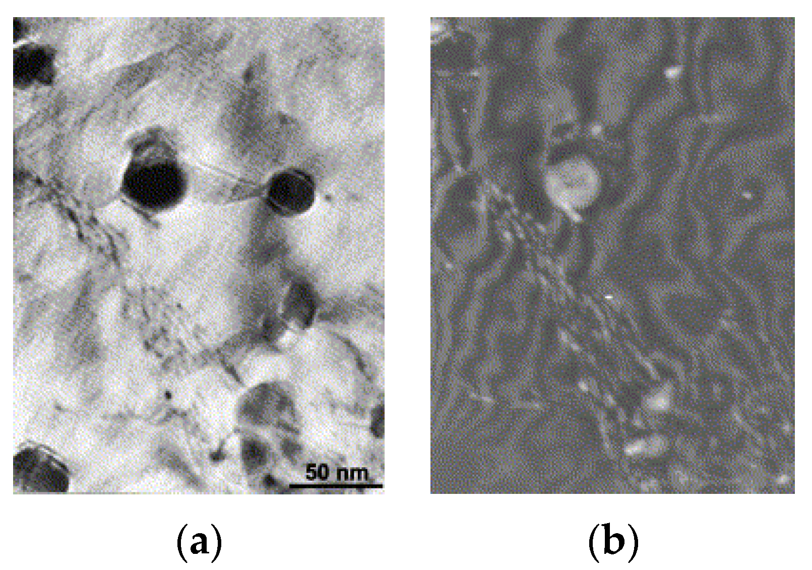 Materials 17 03409 g010