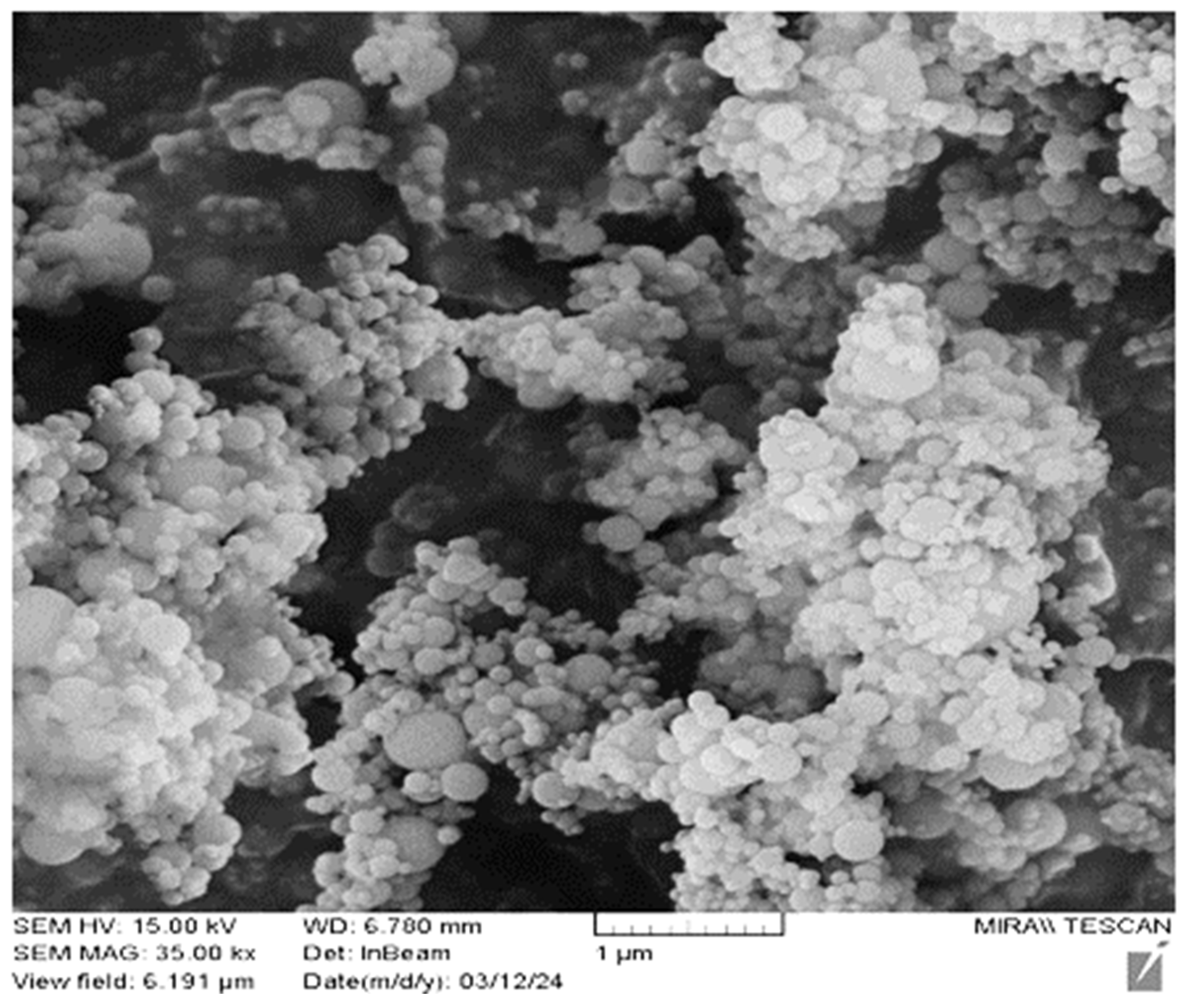 Materials 17 03413 g007