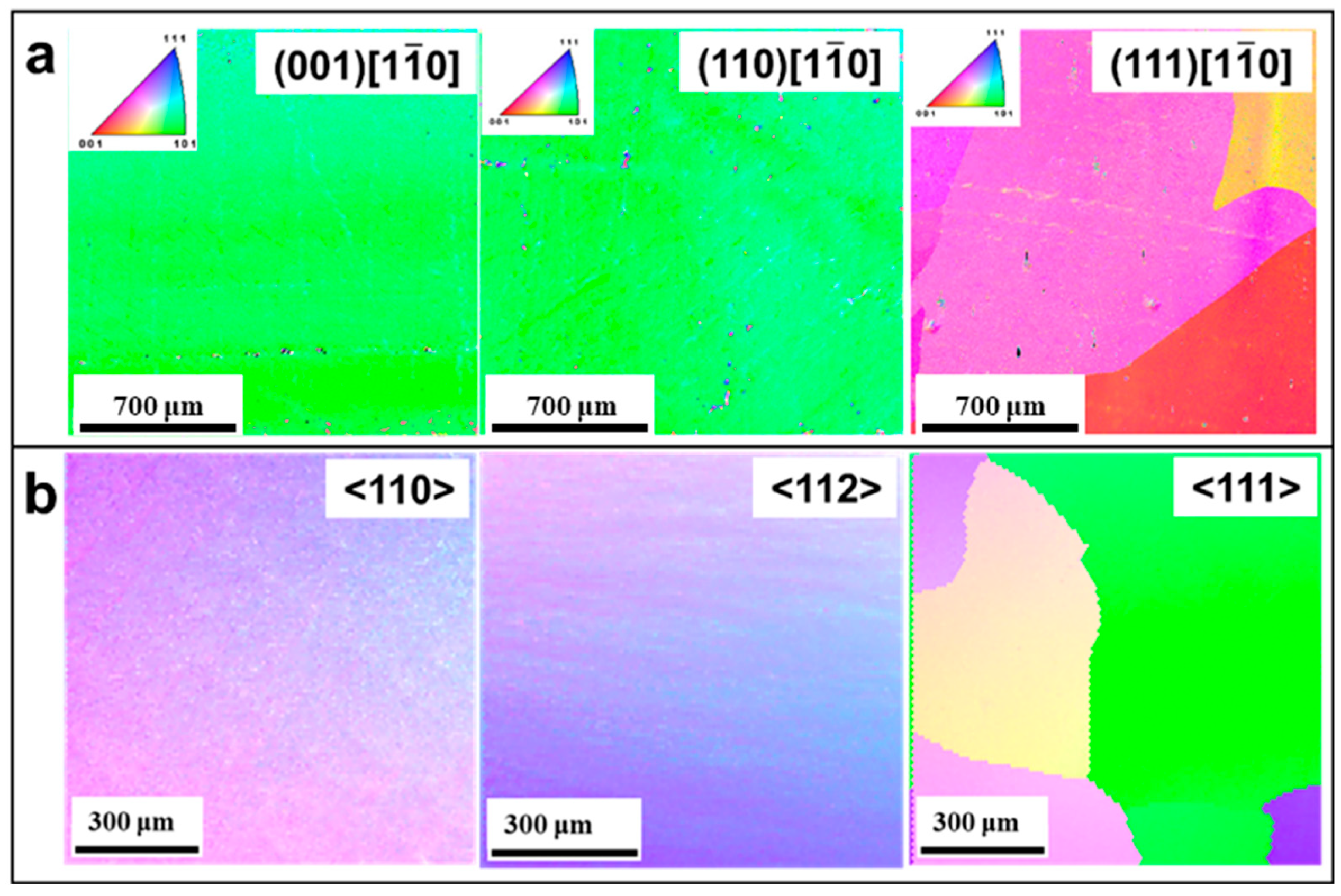 Materials 17 03417 g007