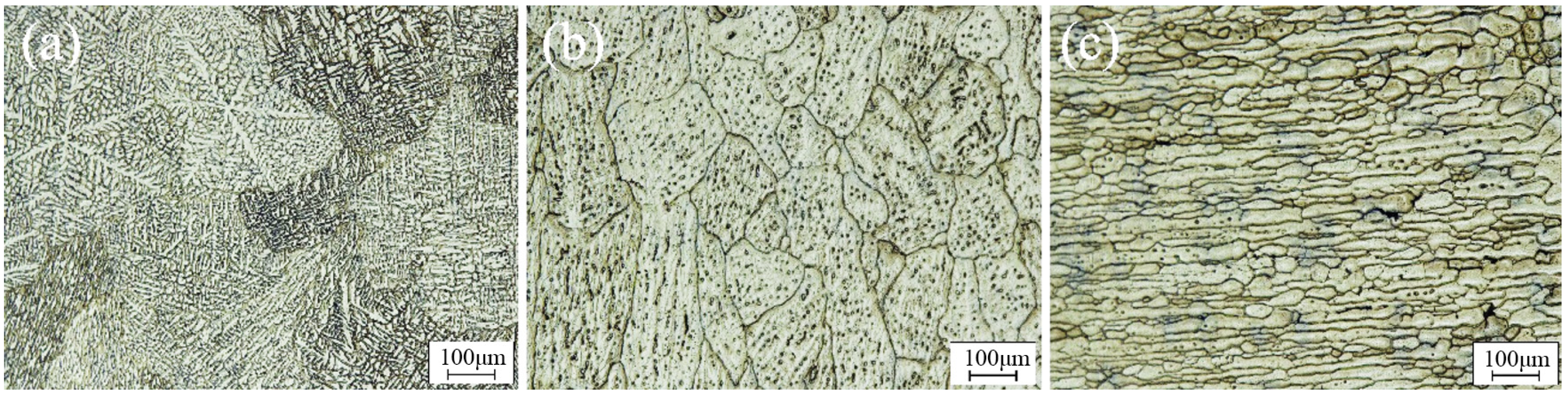 Materials 17 03418 g006