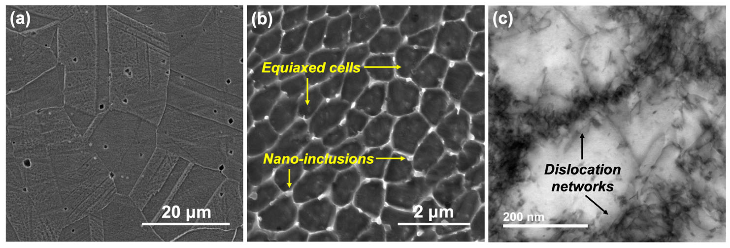 Materials 17 03420 g002