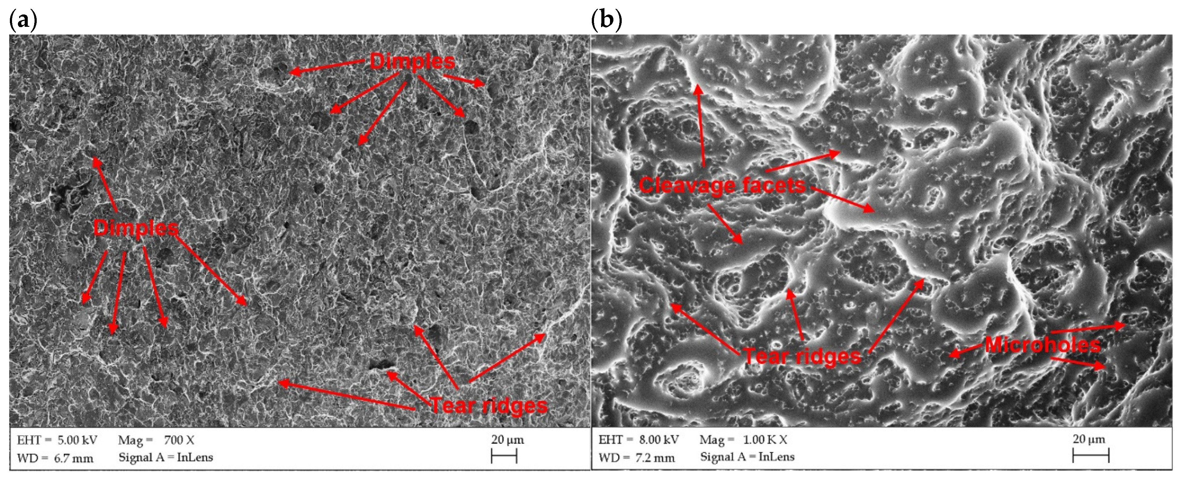 Materials 17 03427 g016
