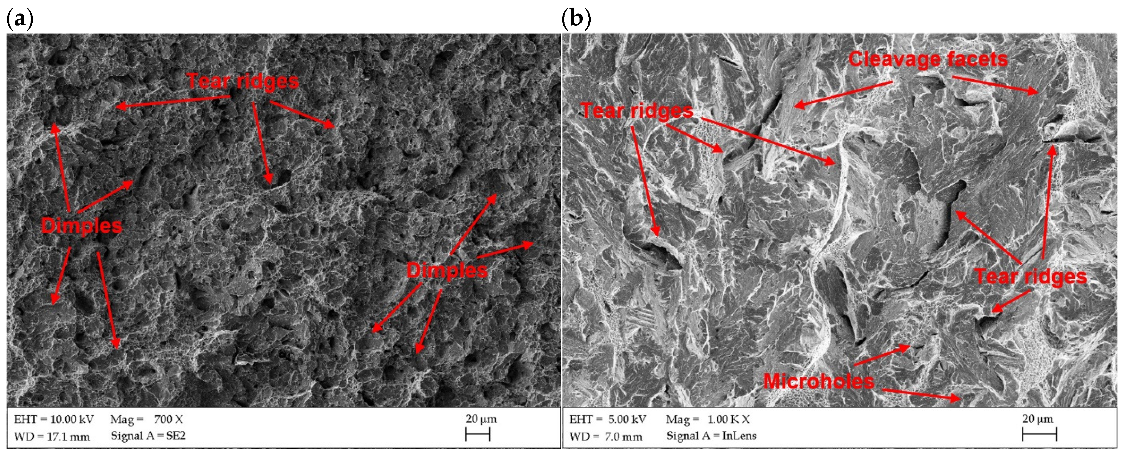 Materials 17 03427 g017