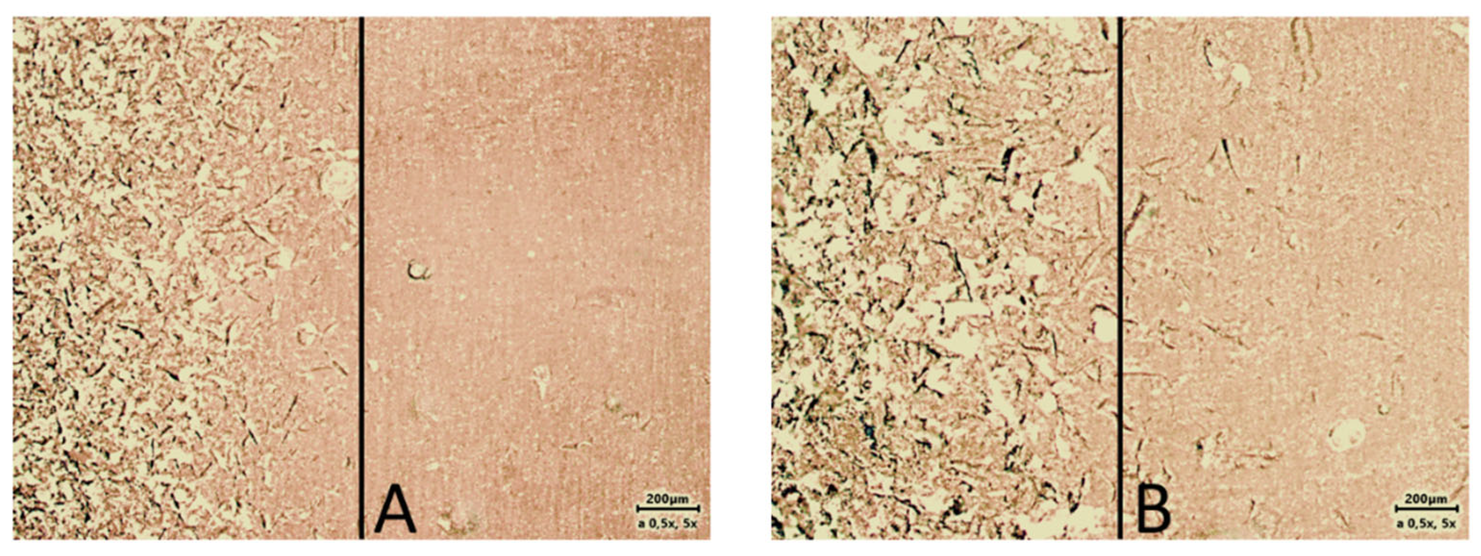 Materials 17 03439 g002