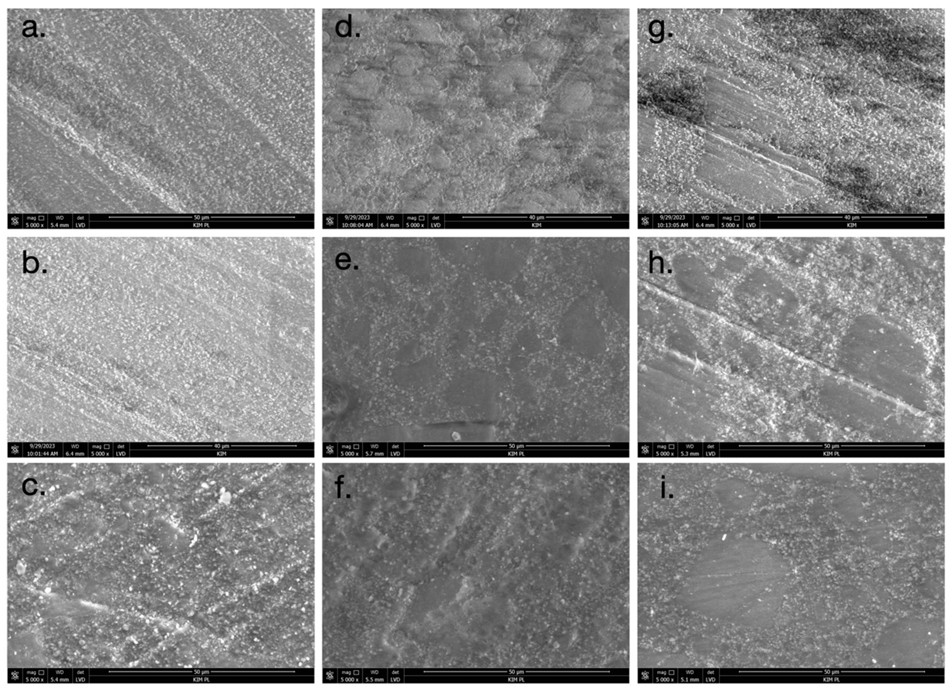 Materials 17 03443 g006