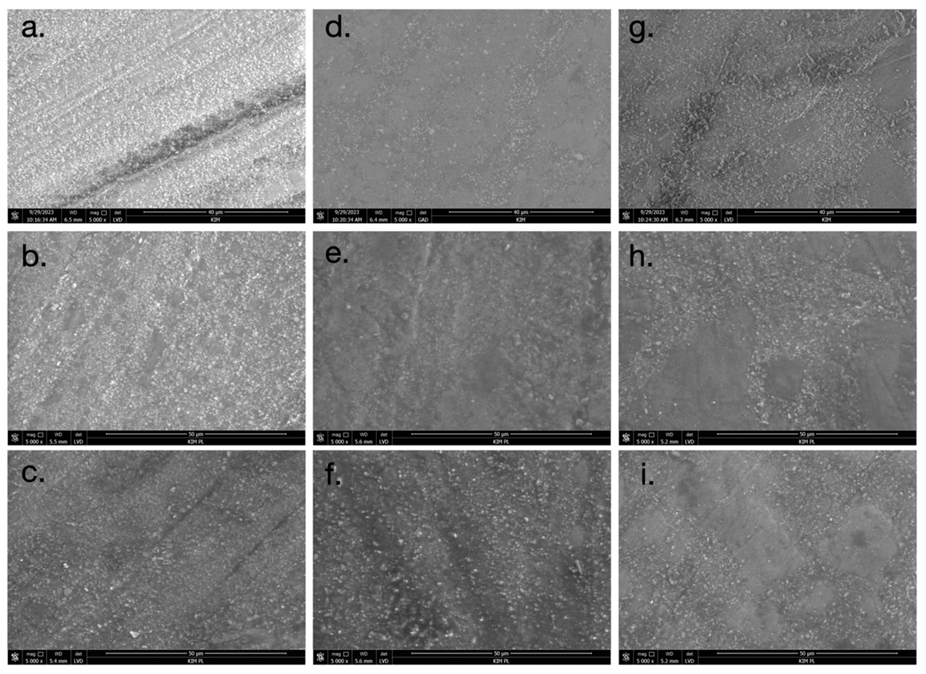 Materials 17 03443 g007