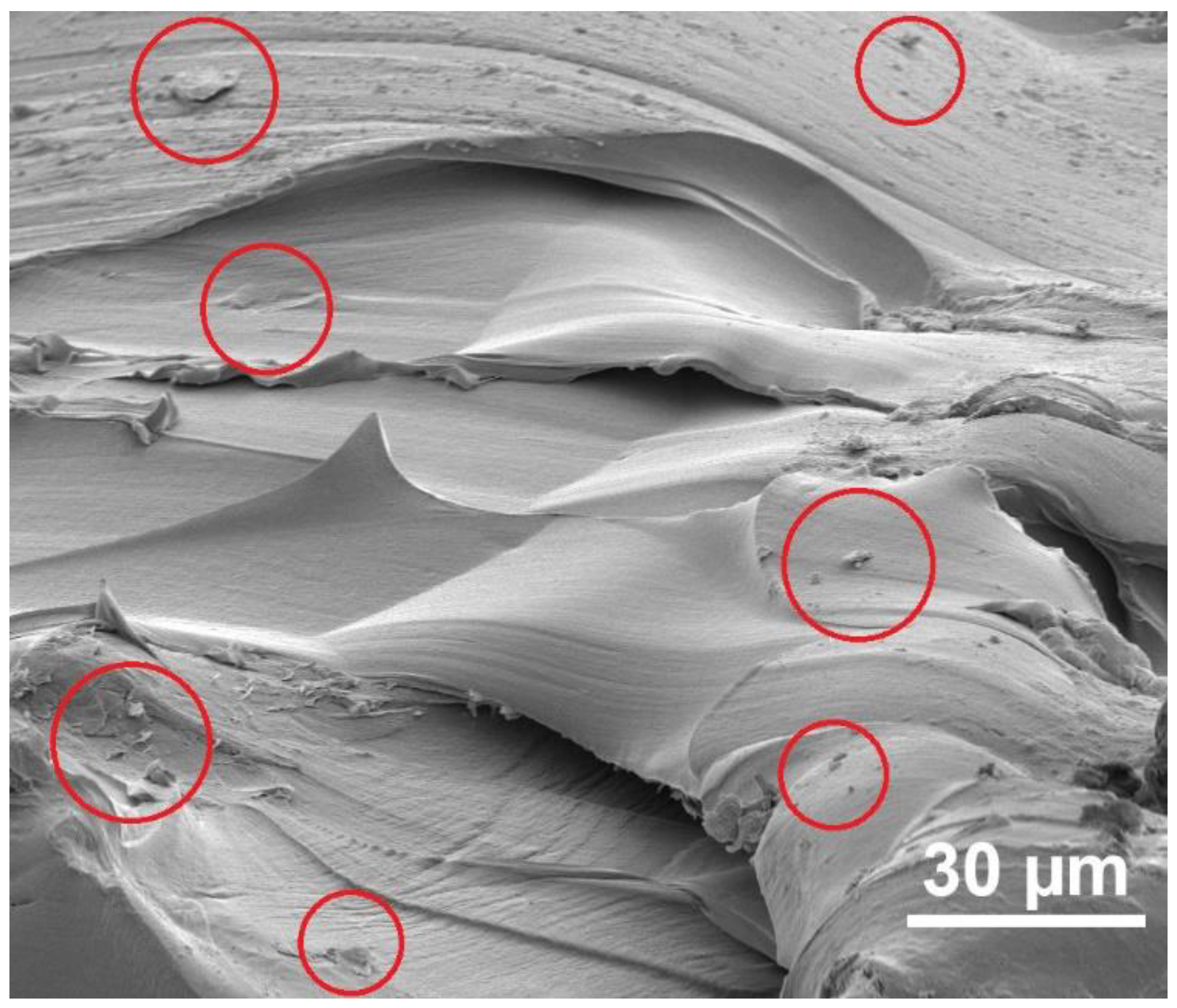 Materials 17 03465 g003