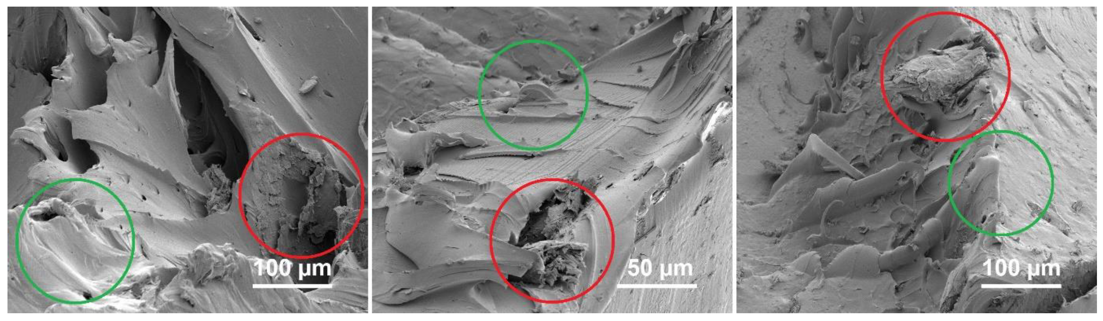 Materials 17 03465 g005