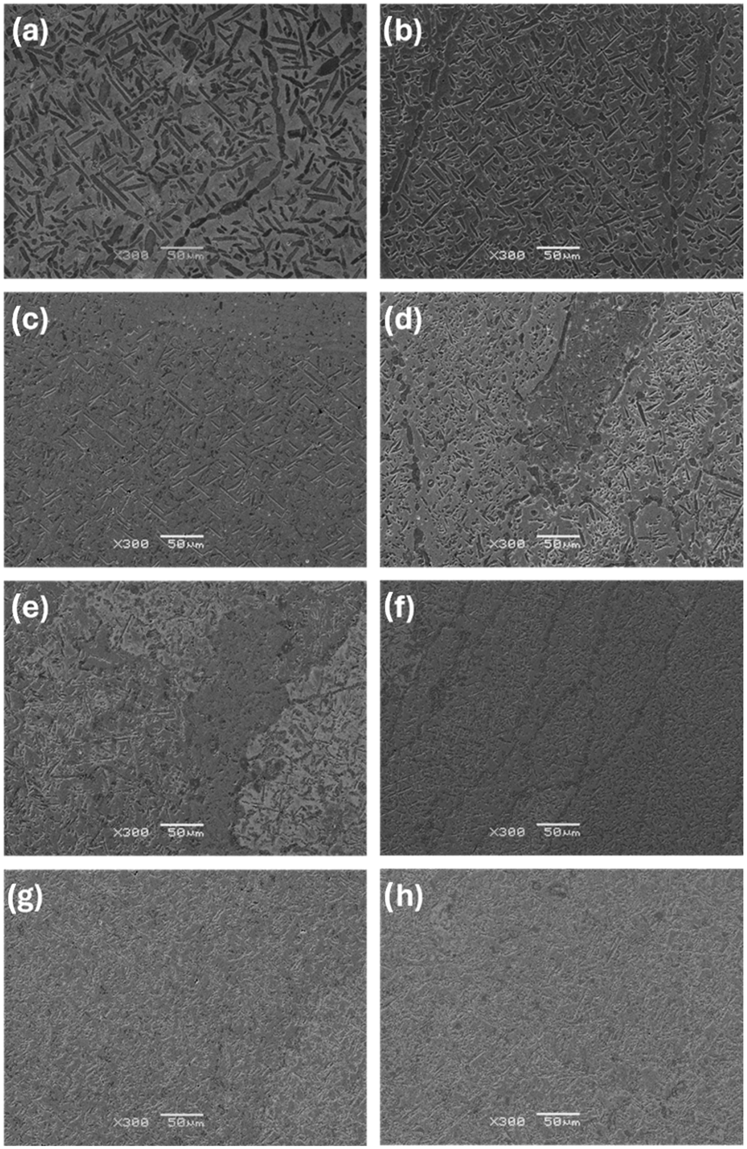 Materials 17 03483 g004