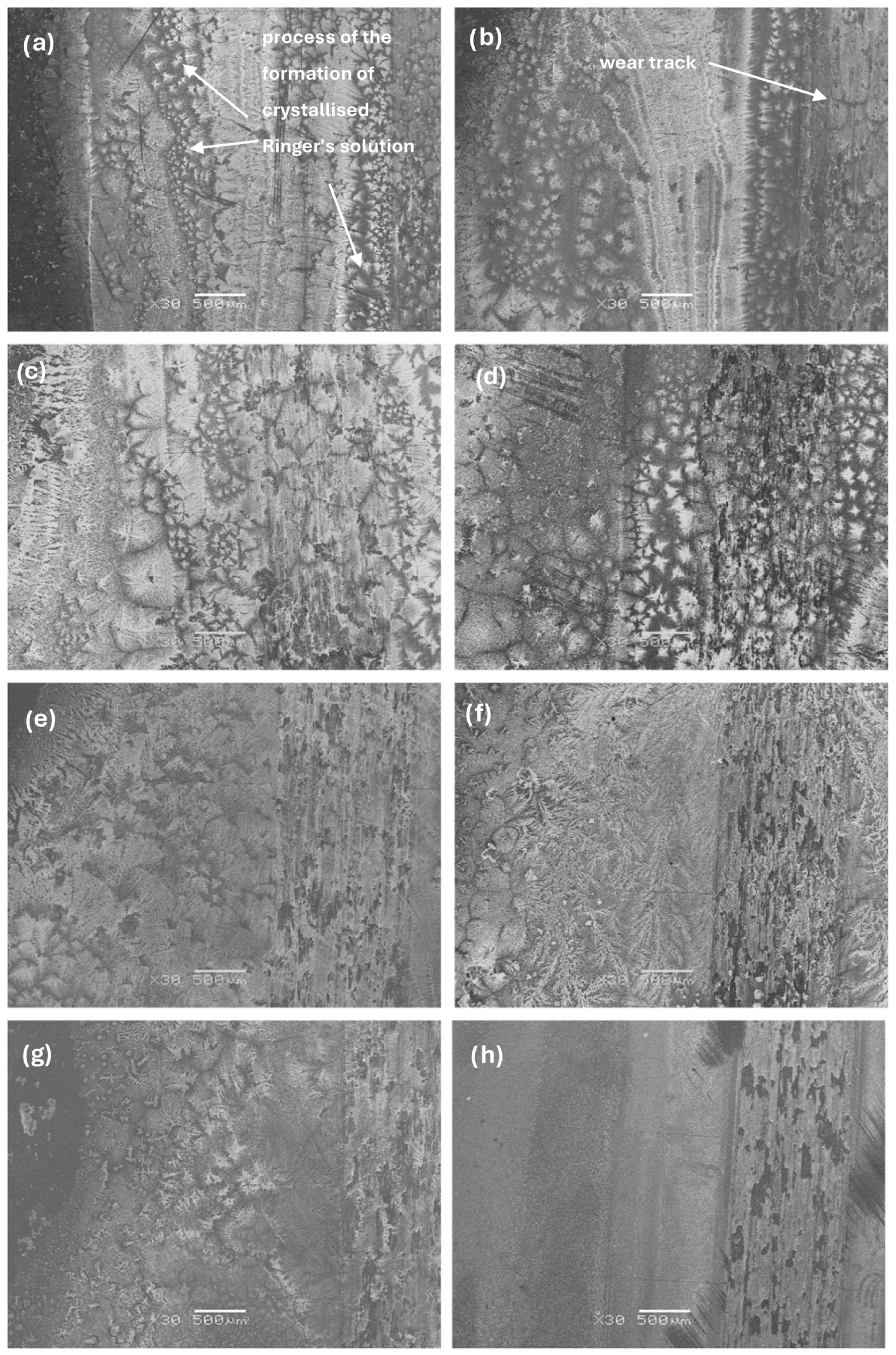 Materials 17 03483 g014