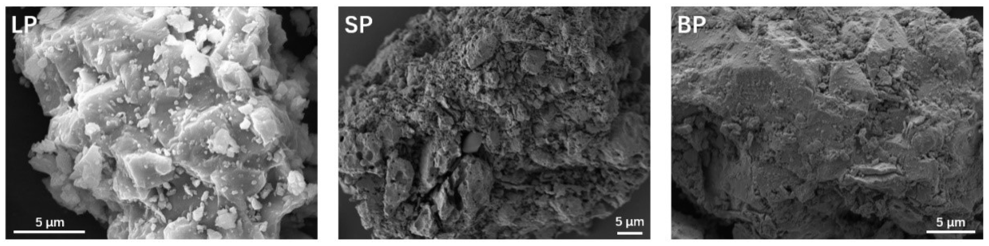 Materials 17 03499 g004