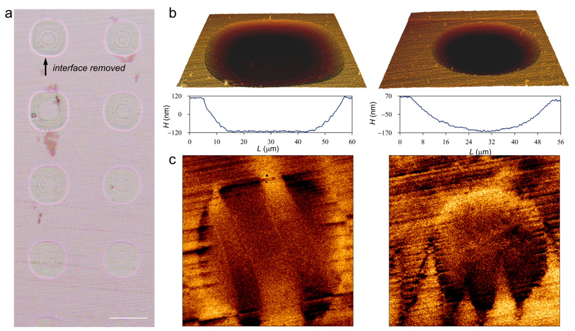 Materials 17 03509 g007
